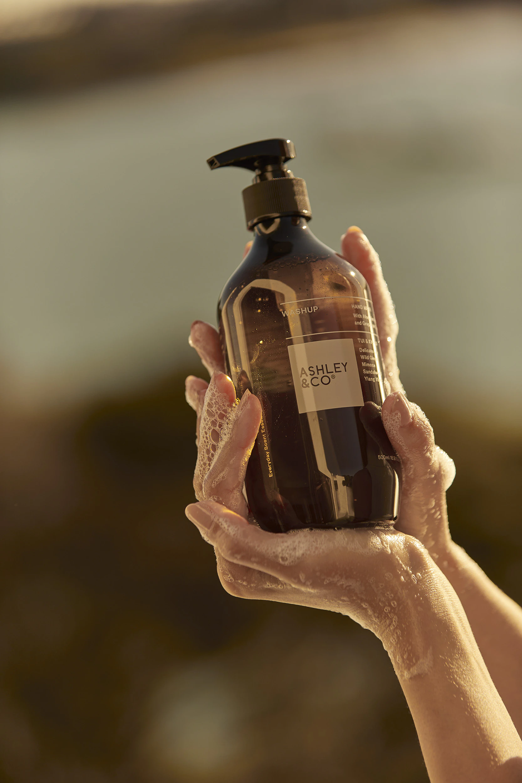 The Collective Force - Ashley & Co.