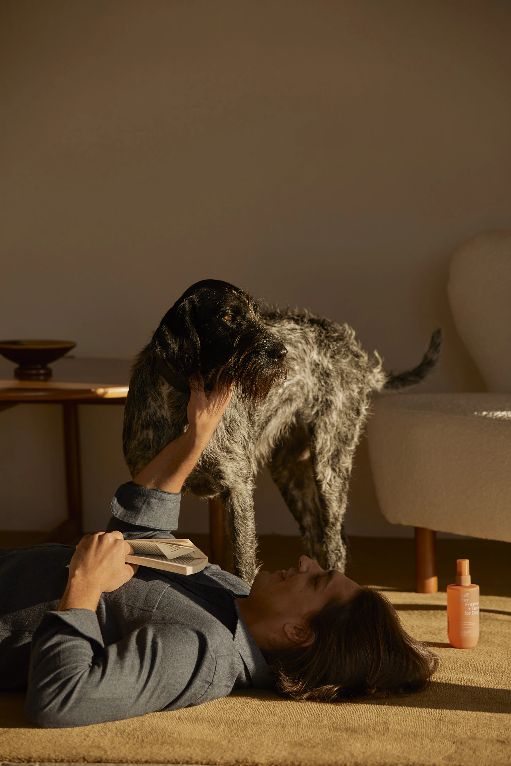 The Collective Force - Ashley & Co.