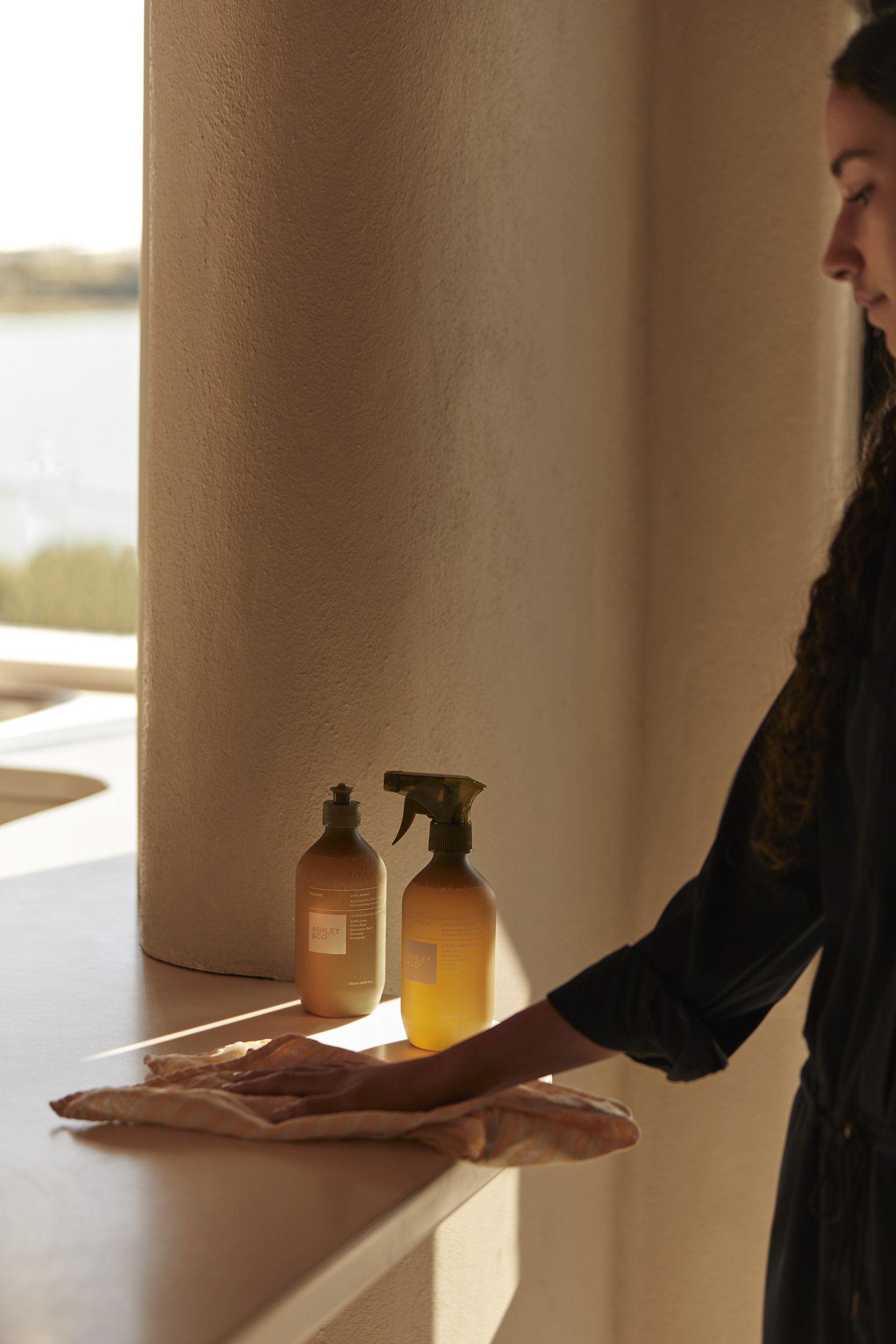 The Collective Force - Ashley & Co.