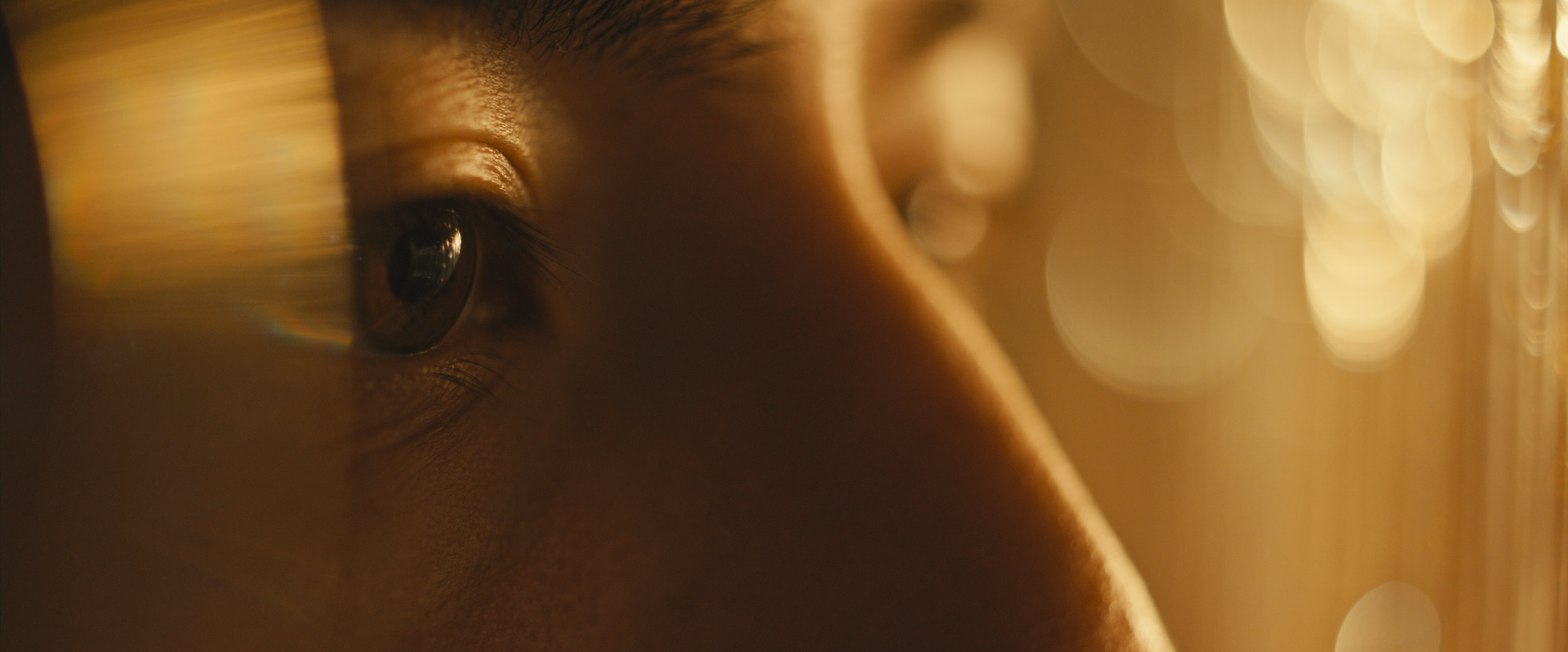 The Collective Force - Auckland University