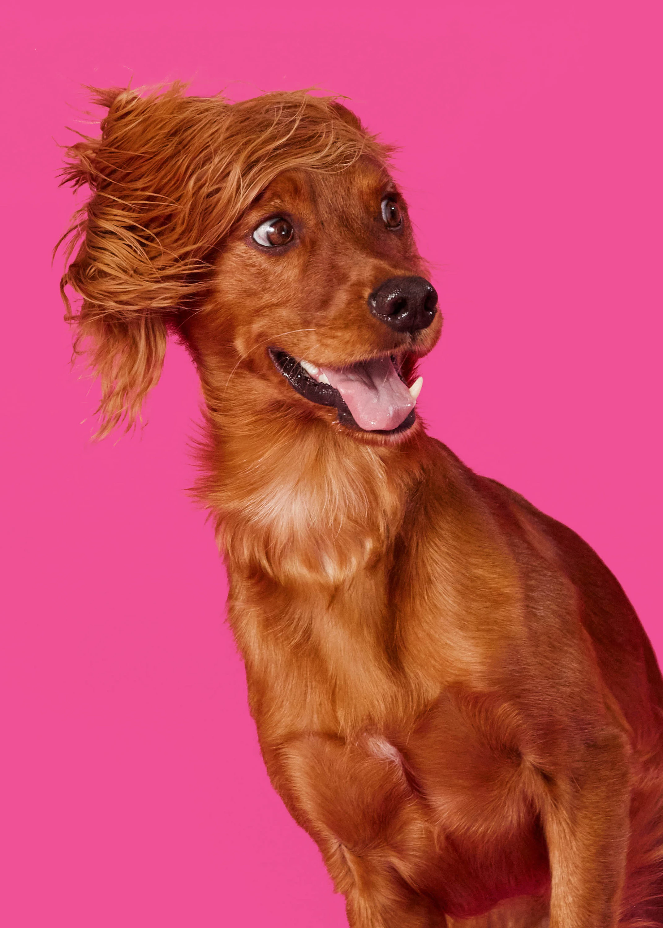 The Collective Force - Bonkers