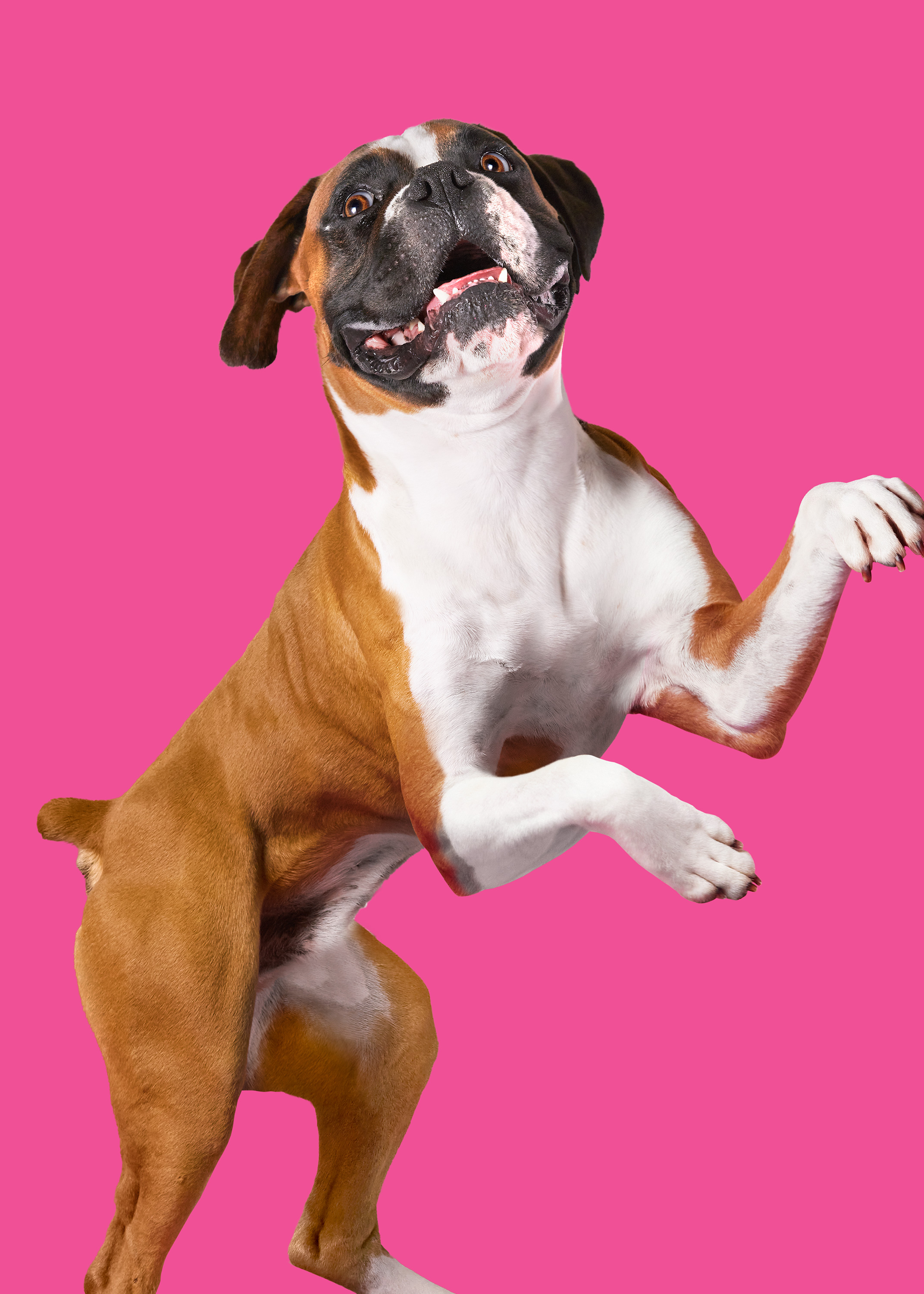 The Collective Force - Bonkers