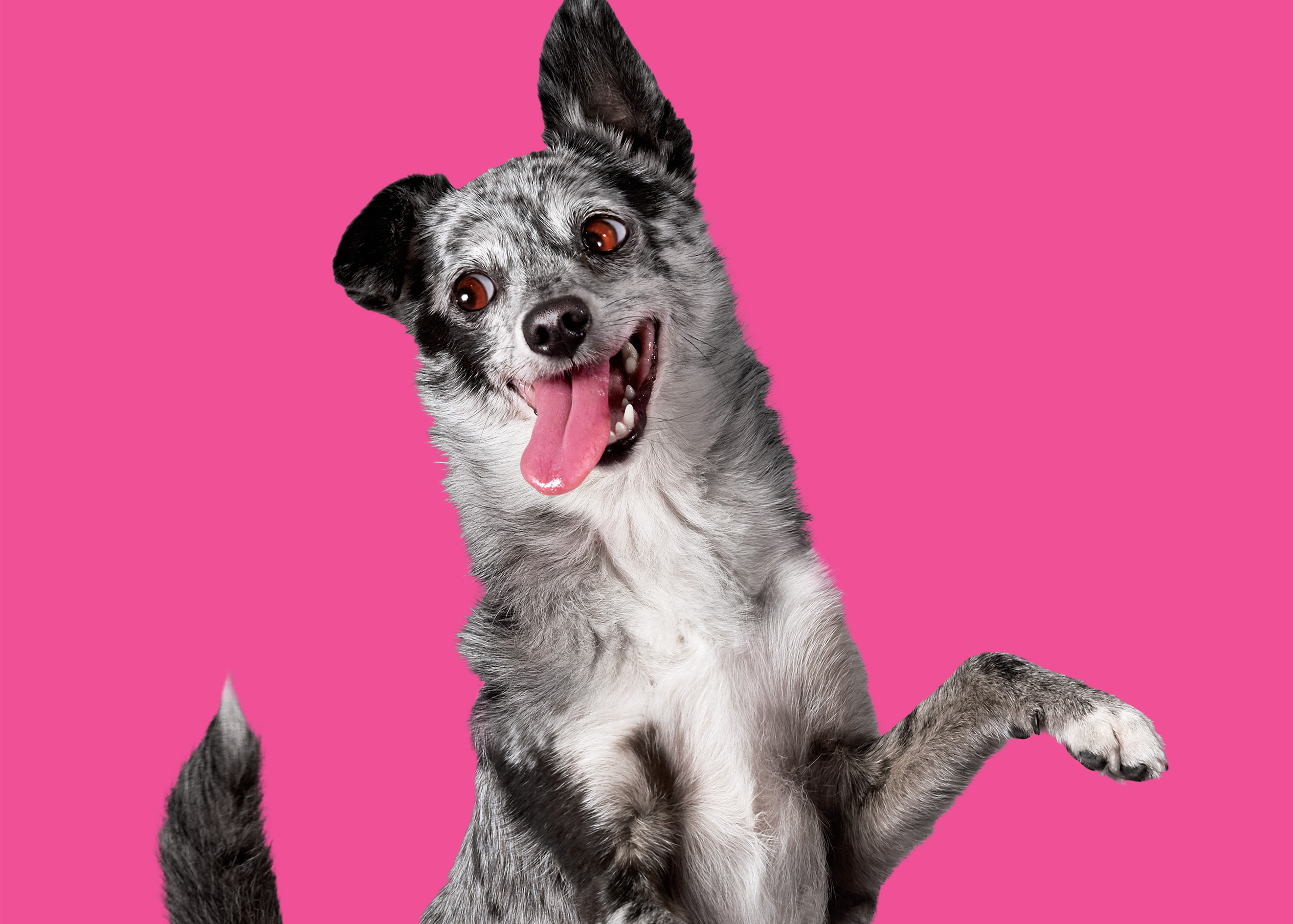 The Collective Force - Latest