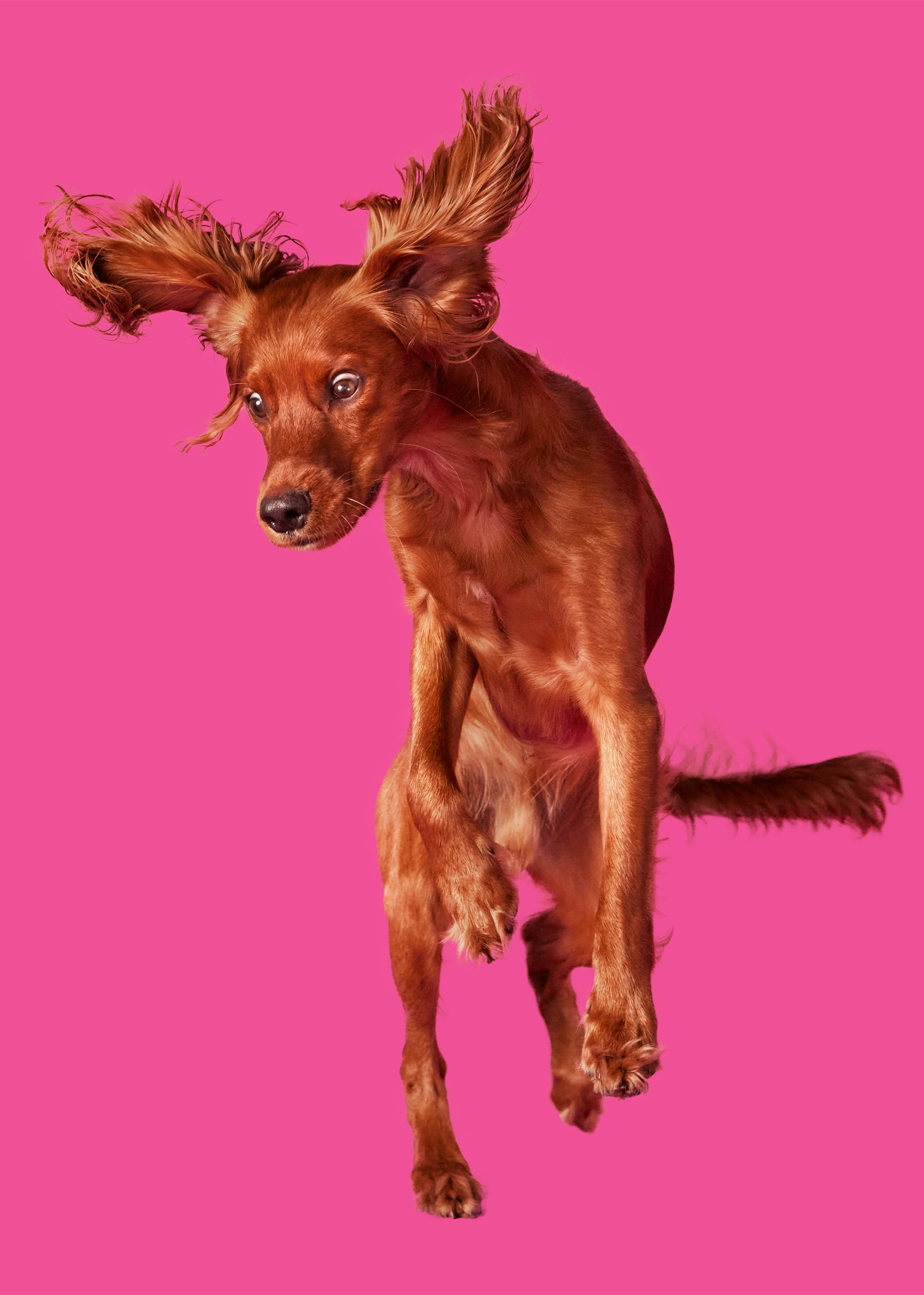 The Collective Force - Bonkers