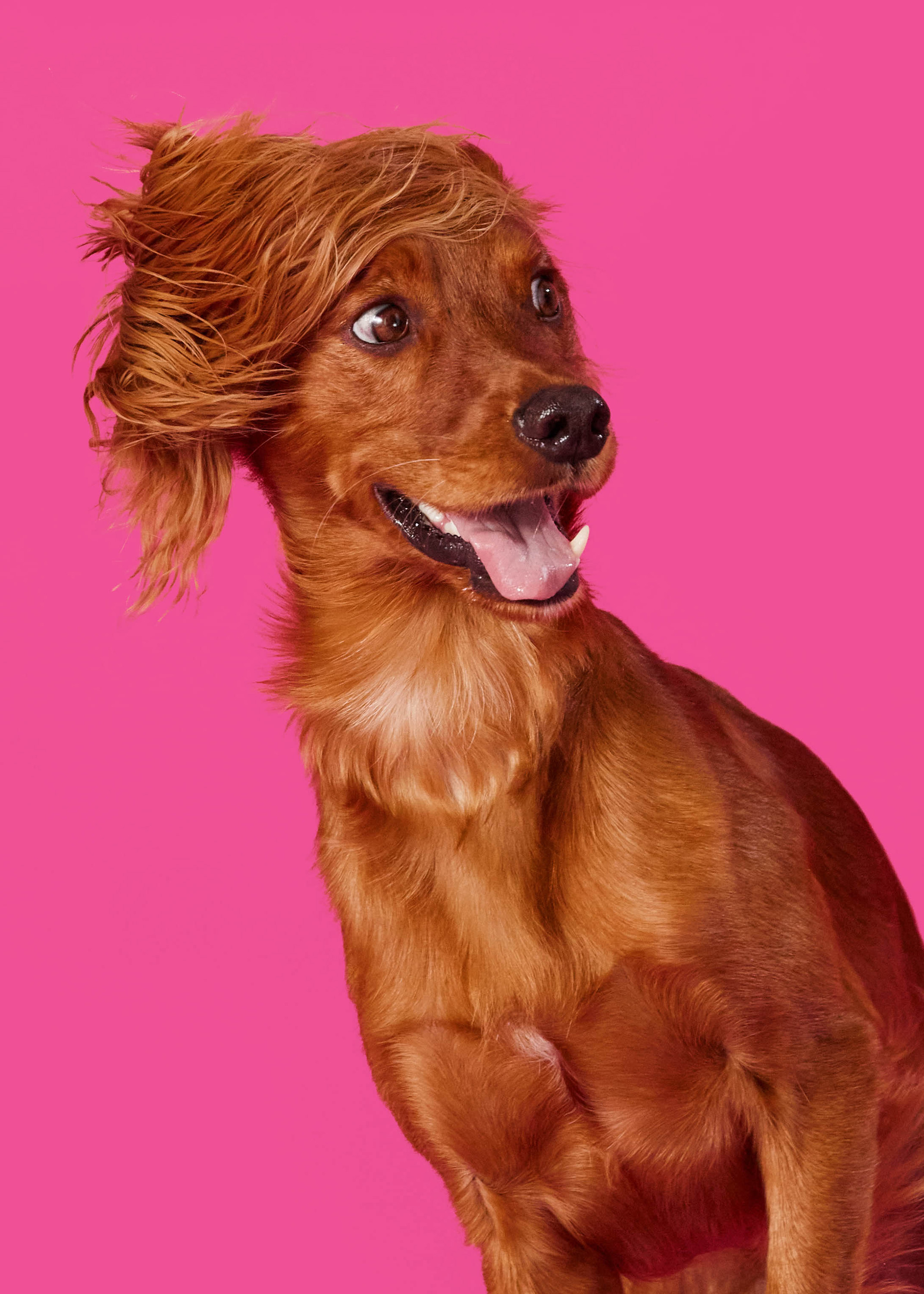 The Collective Force - Bonkers