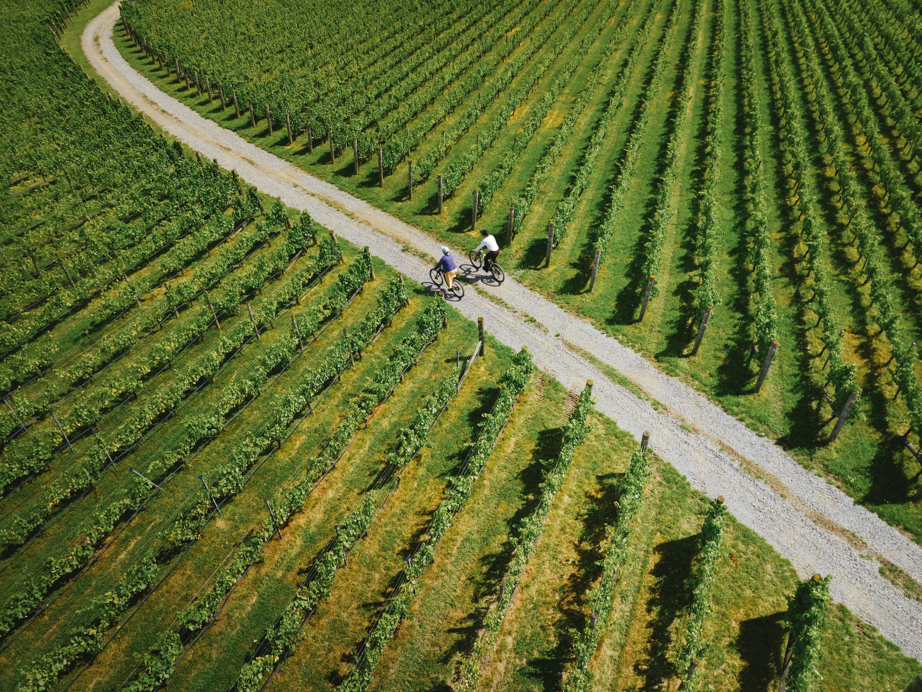 The Collective Force - Christchurch NZ