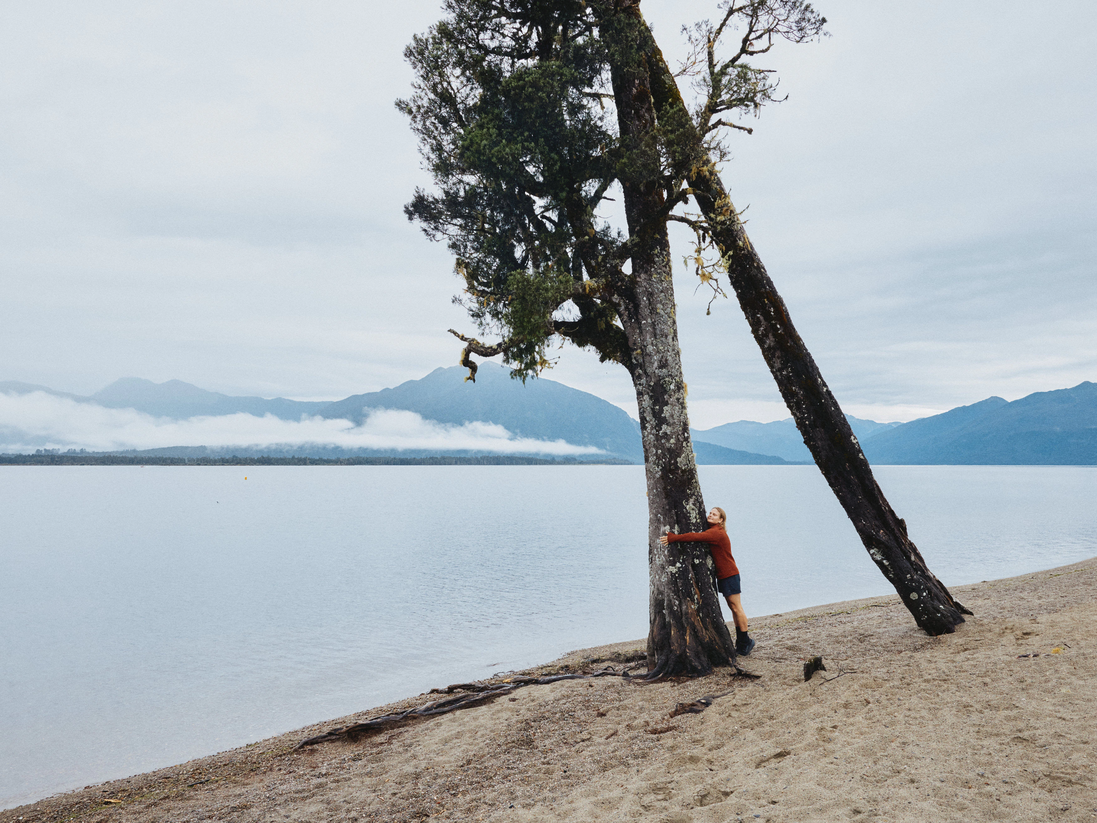 The Collective Force - Christchurch NZ