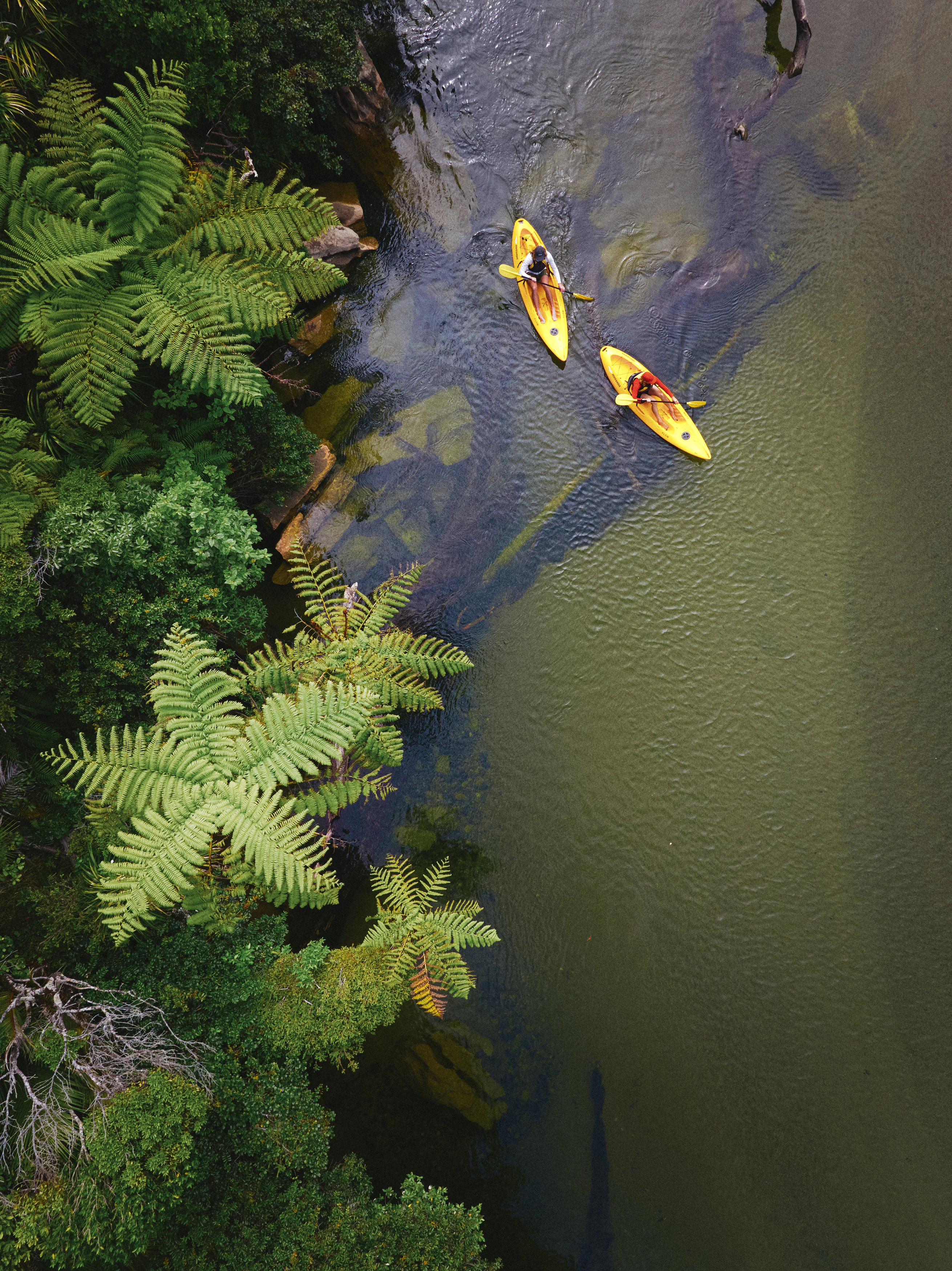 The Collective Force - Christchurch NZ
