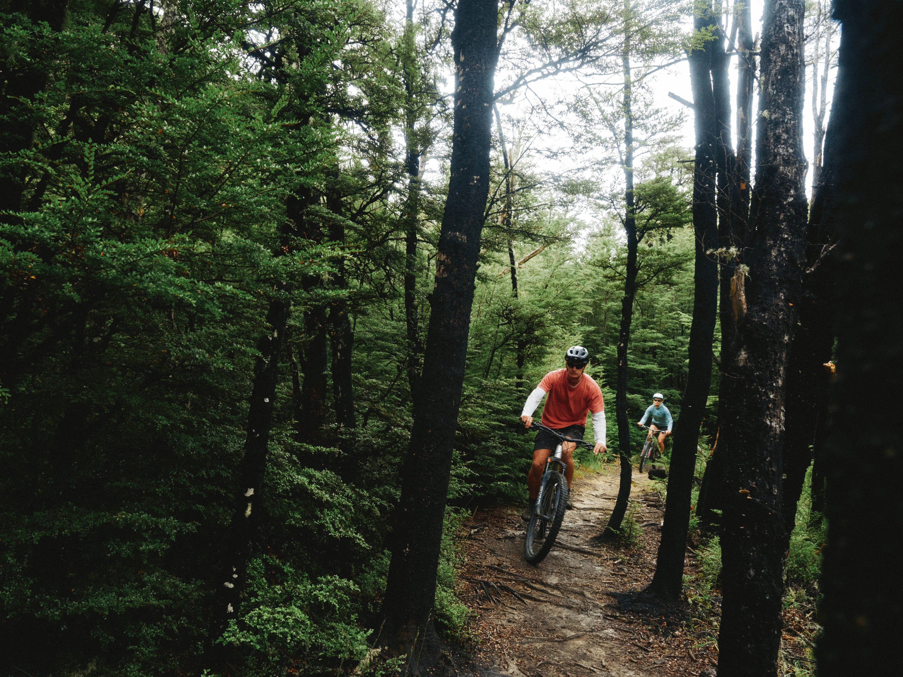 The Collective Force - Christchurch NZ