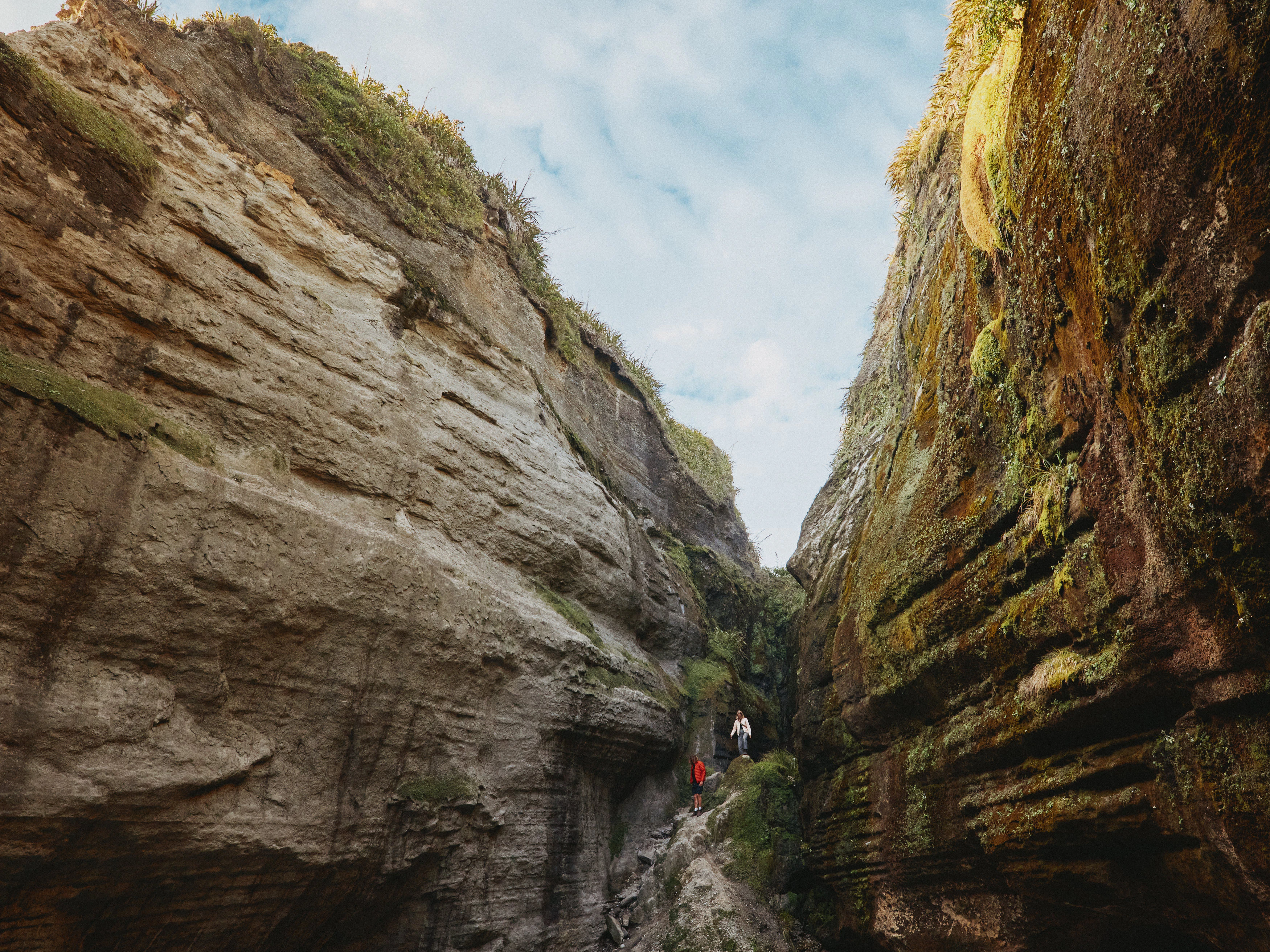 The Collective Force - Christchurch NZ