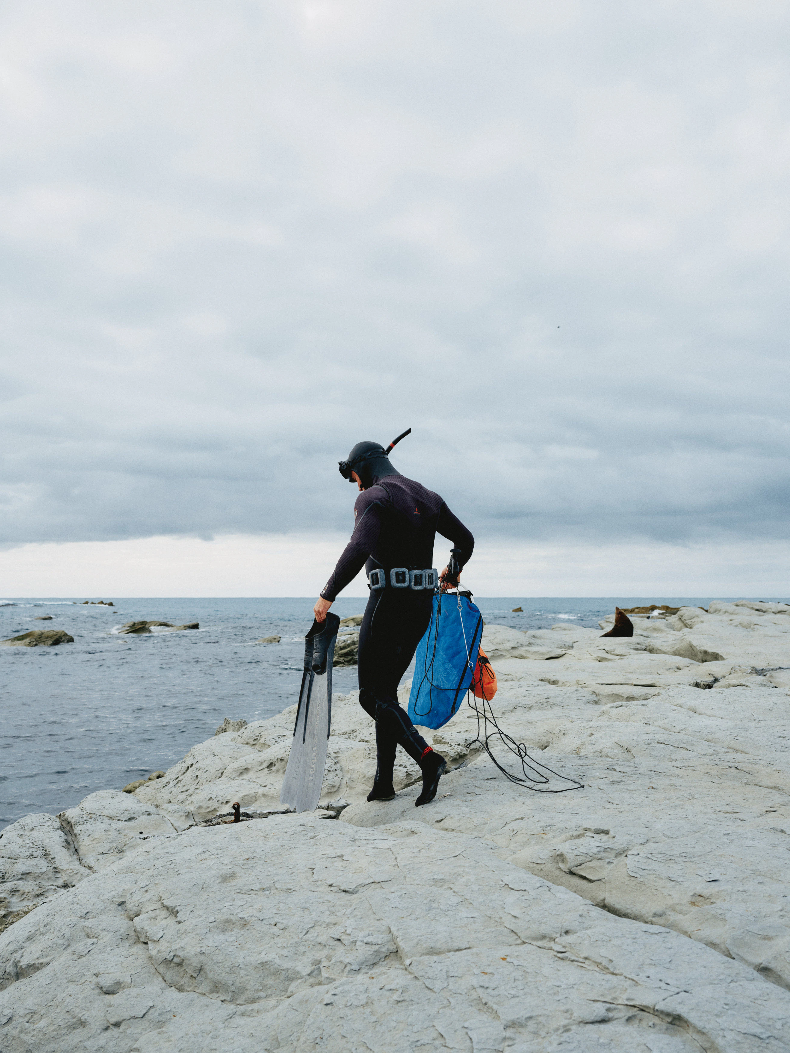 The Collective Force - Christchurch NZ
