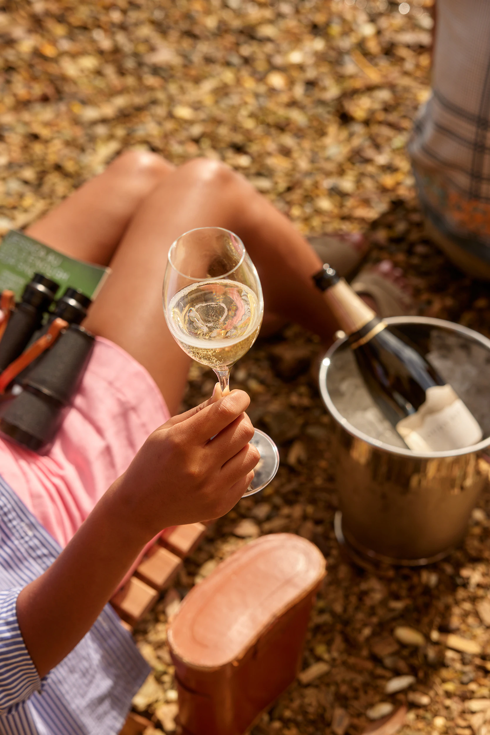 The Collective Force - Cloudy Bay Art of Entertaining