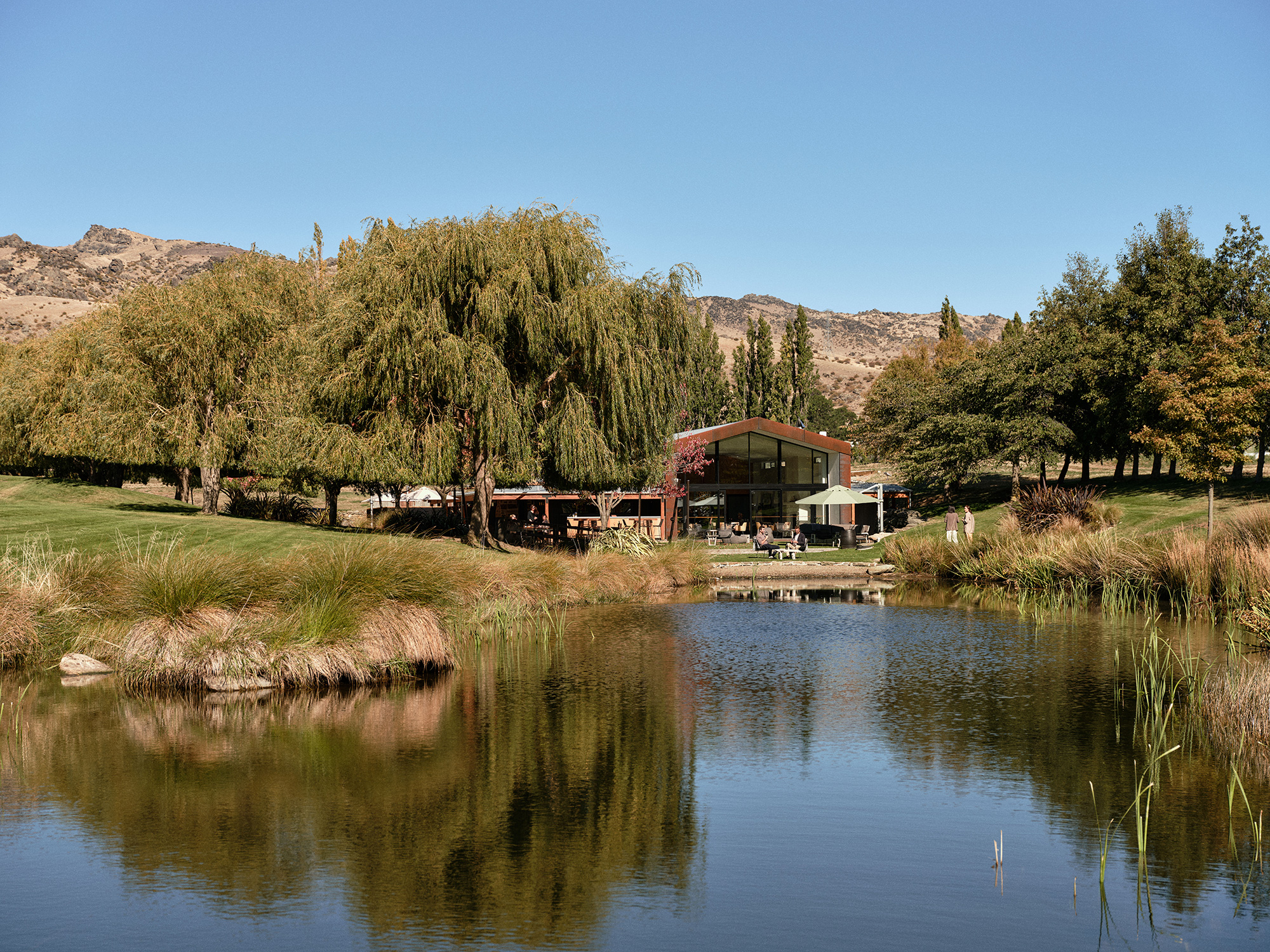 The Collective Force - Cloudy Bay Circle