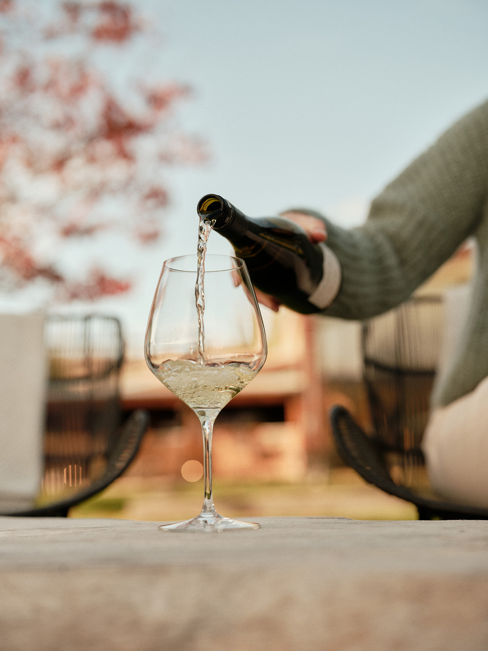 The Collective Force - Cloudy Bay Circle