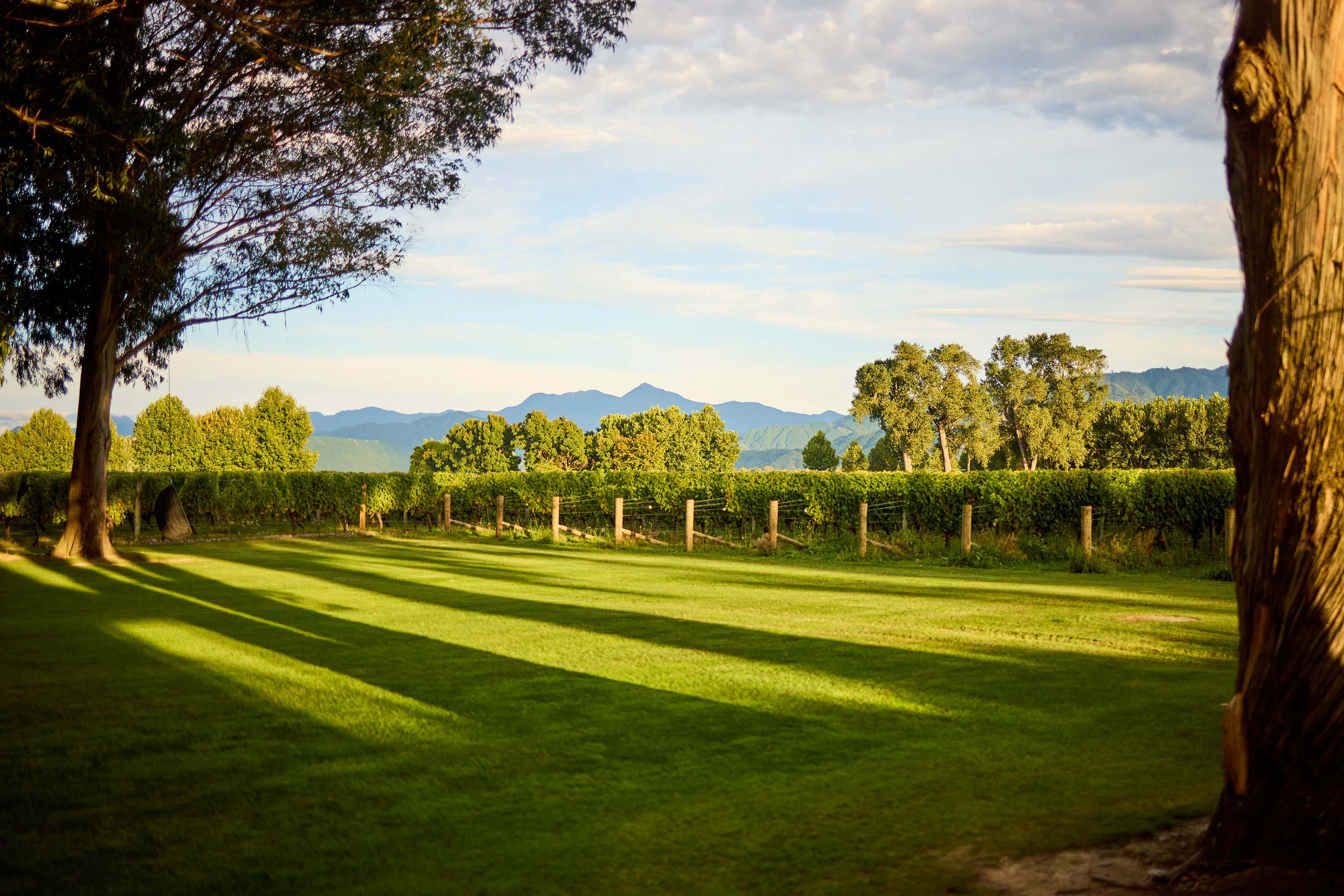 The Collective Force - Cloudy Bay | Home 2023