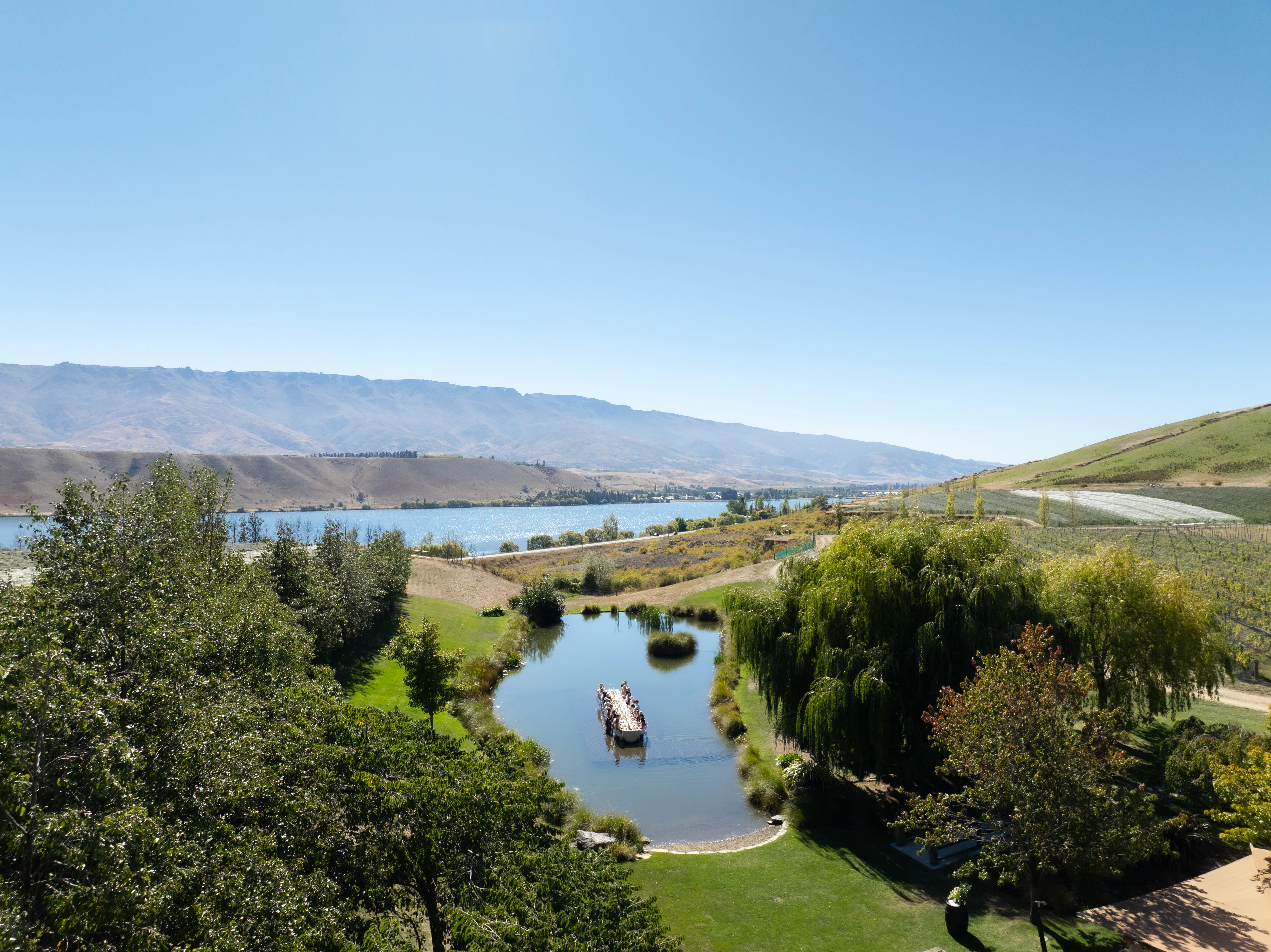 The Collective Force - Cloudy Bay Wonderscape 2025