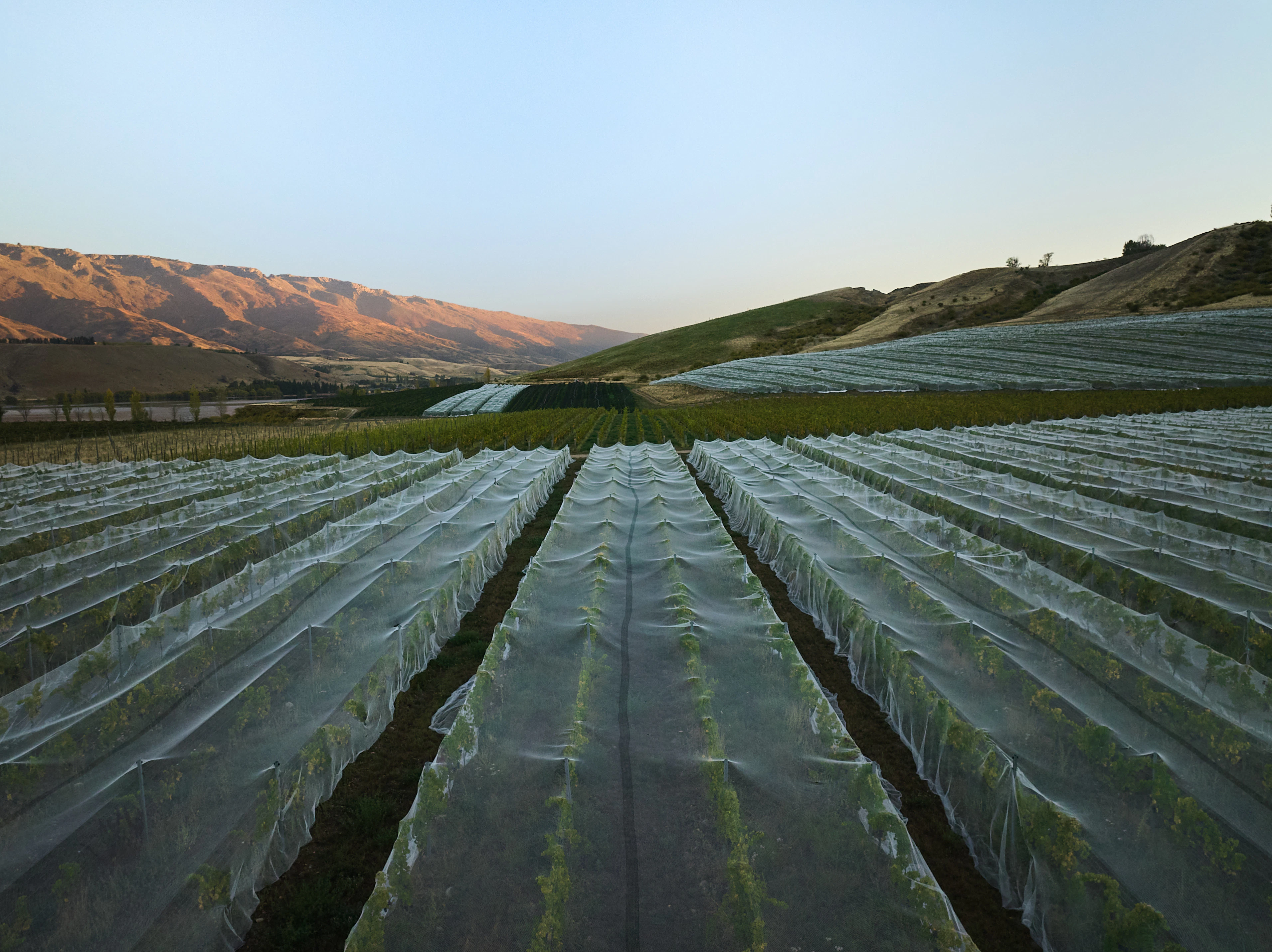 The Collective Force - Cloudy Bay Wonderscape 2025