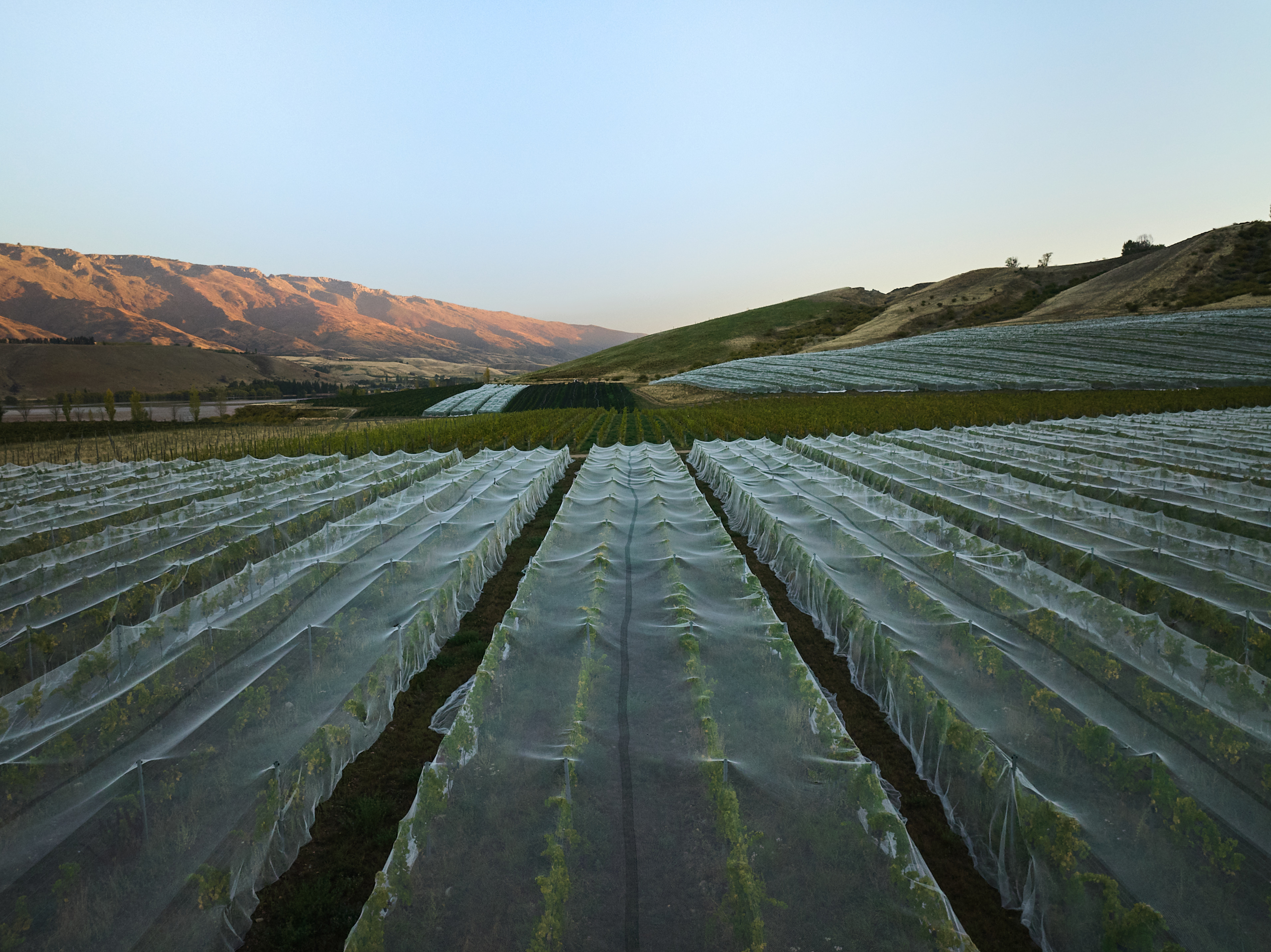 The Collective Force - Cloudy Bay Wonderscape 2025