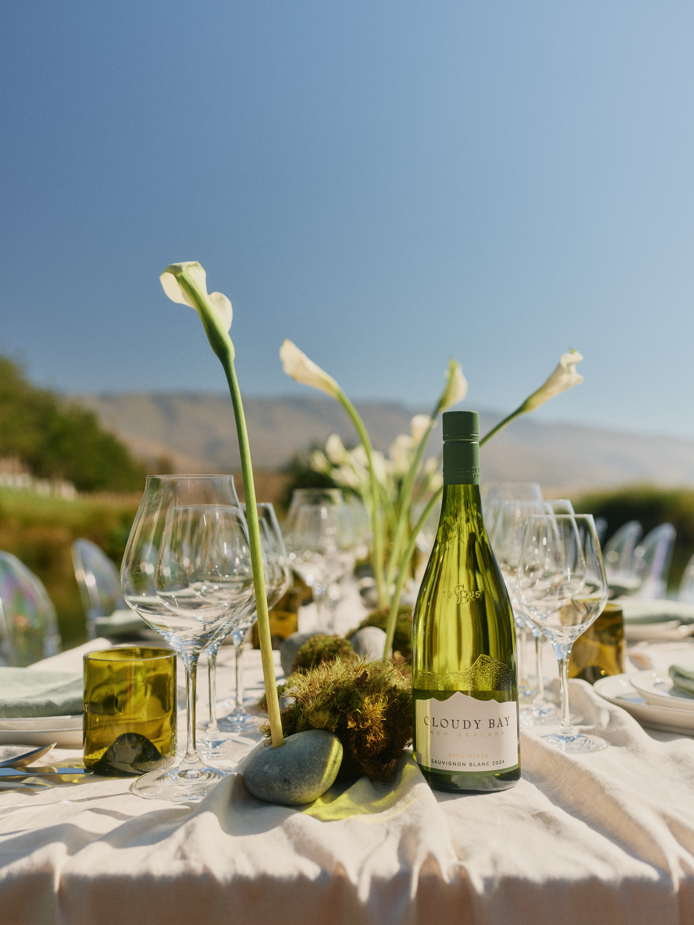 The Collective Force - Cloudy Bay Wonderscape 2025