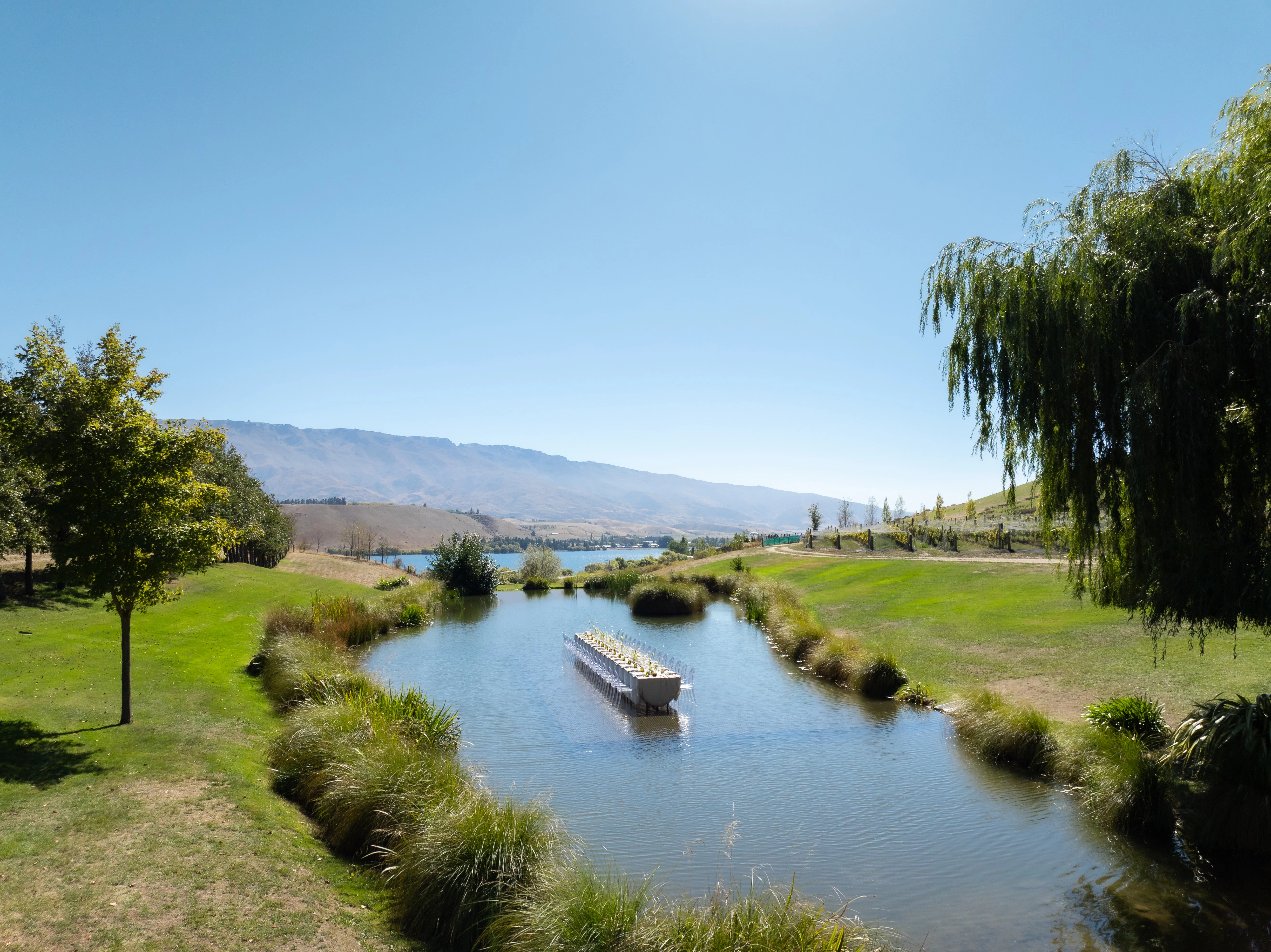 The Collective Force - Cloudy Bay Wonderscape 2025