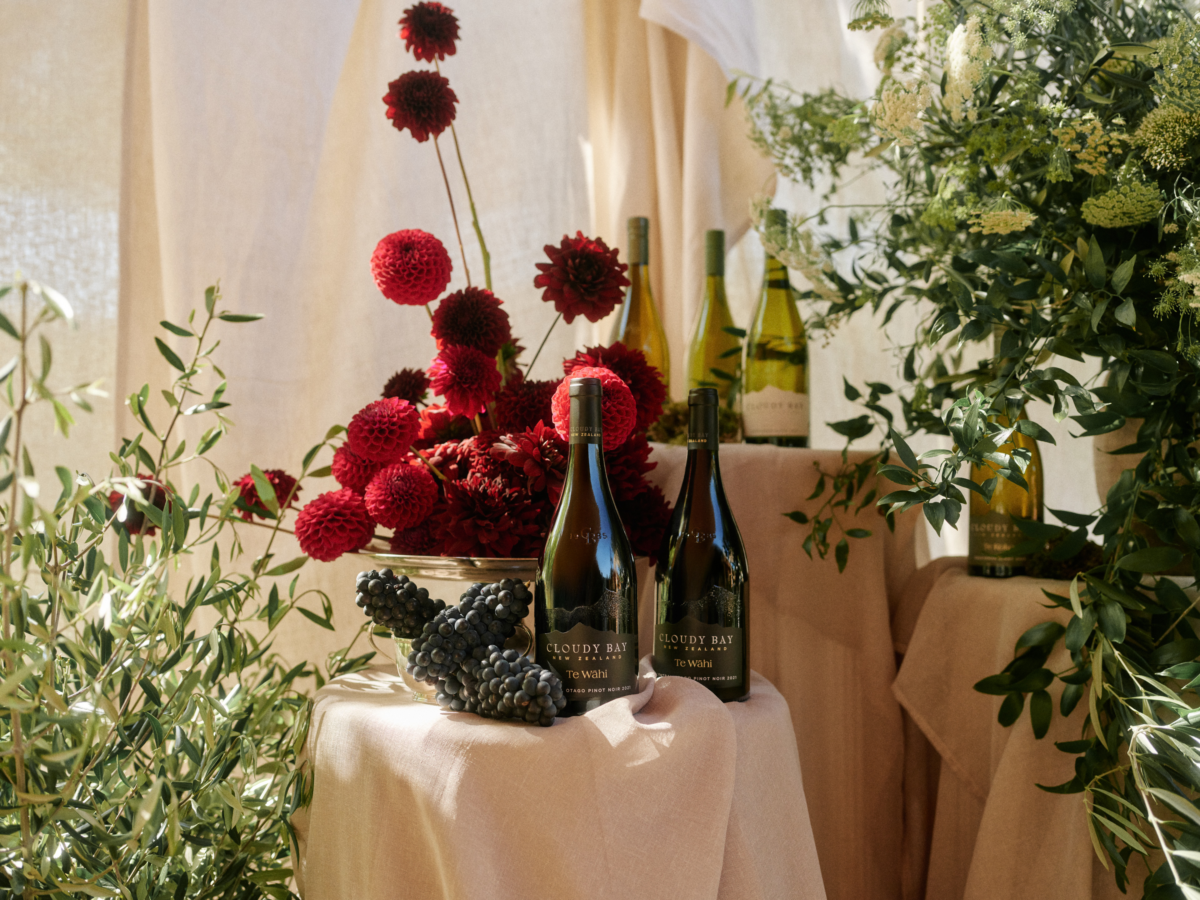 The Collective Force - Cloudy Bay Wonderscape 2025