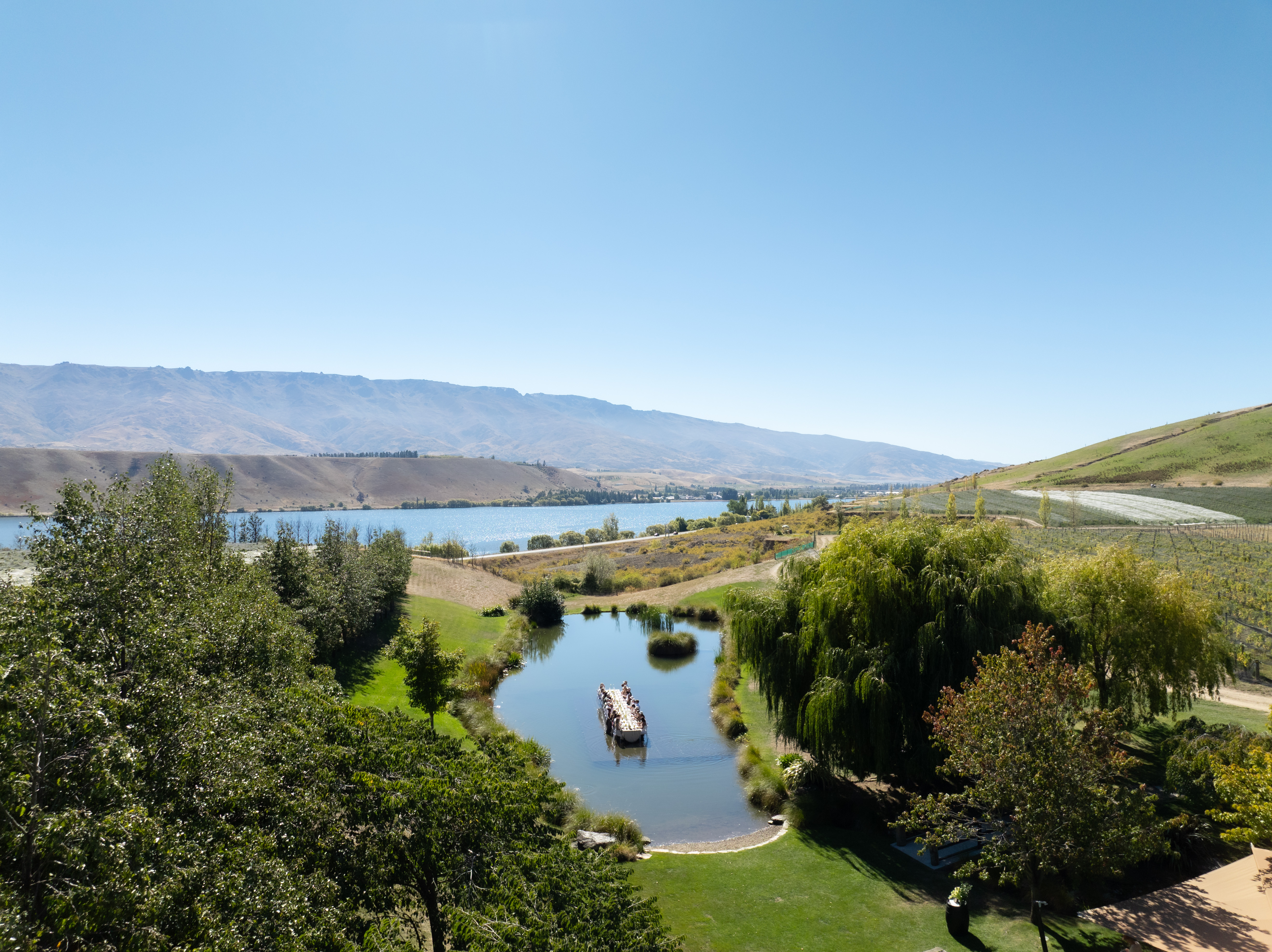 The Collective Force - Cloudy Bay Wonderscape 2025