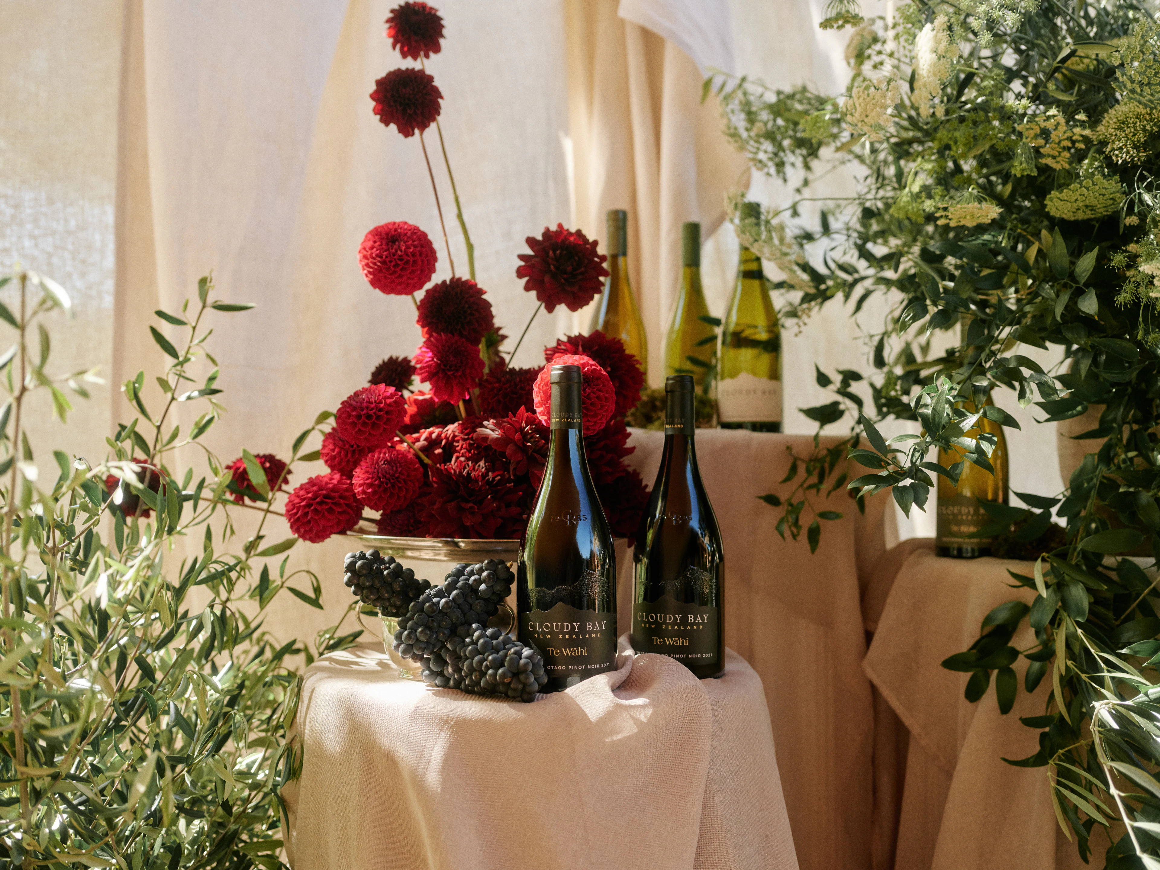 The Collective Force - Cloudy Bay Wonderscape 2025