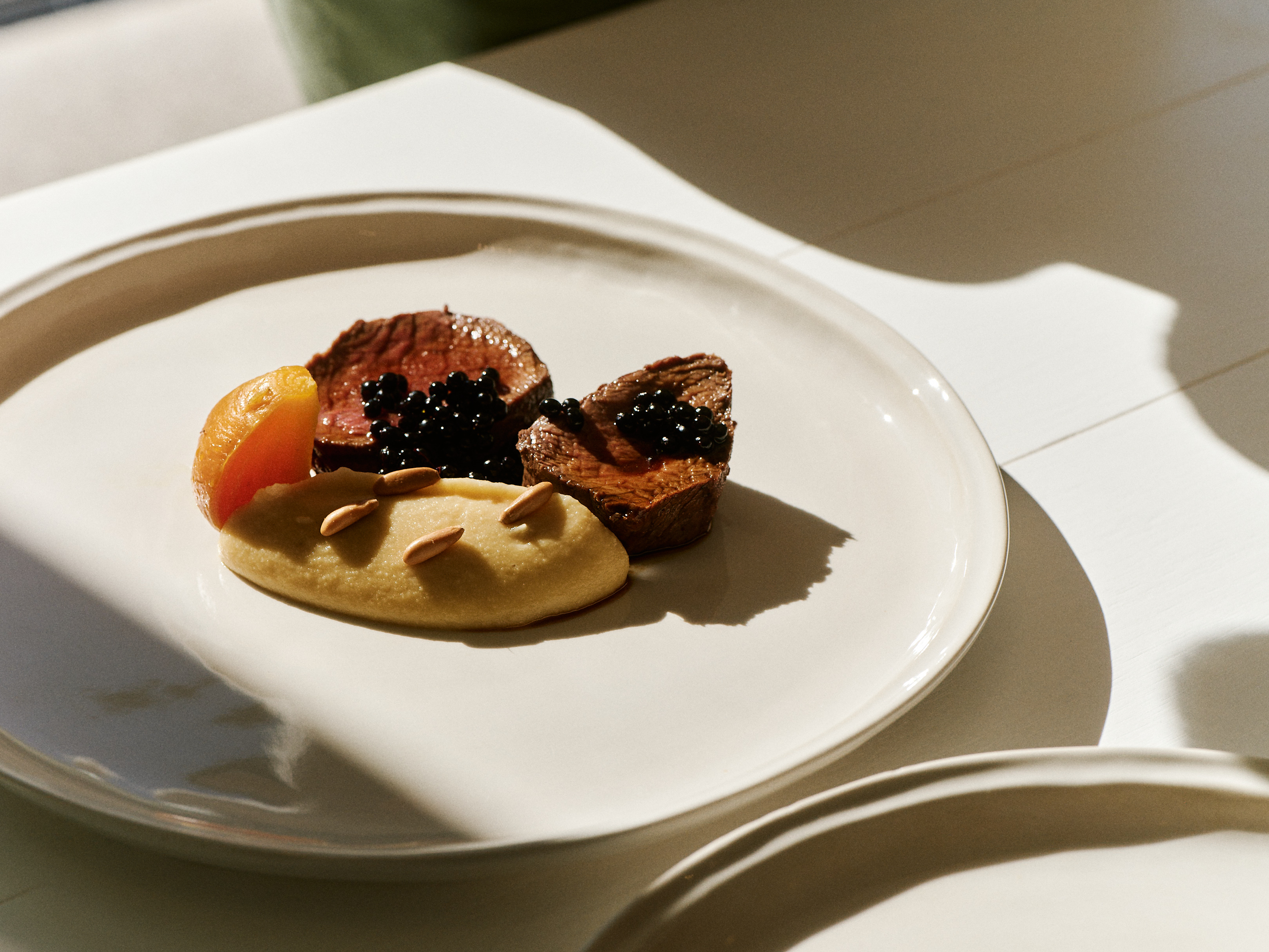 The Collective Force - Cloudy Bay Wonderscape 2025