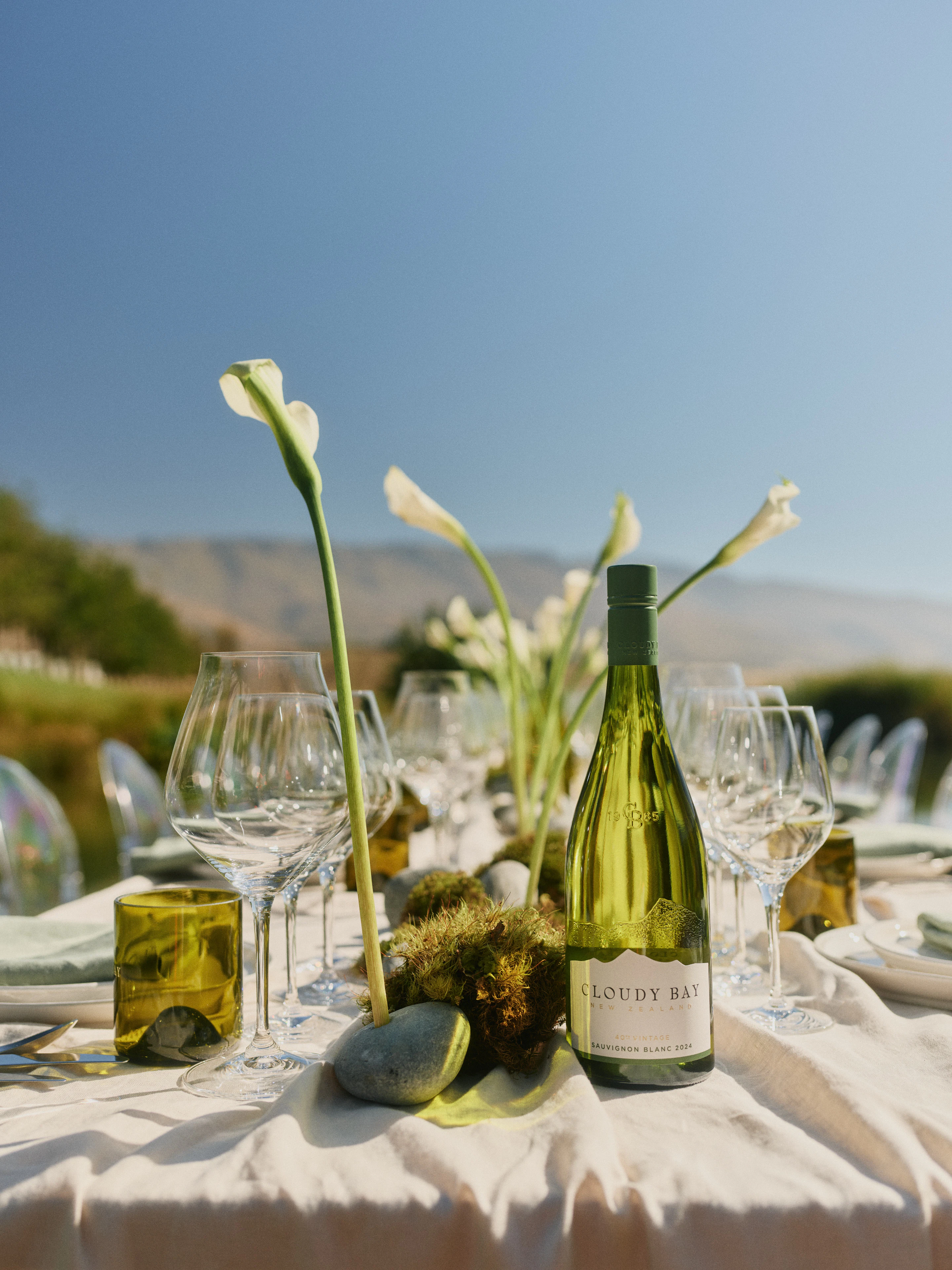 The Collective Force - Cloudy Bay Wonderscape 2025