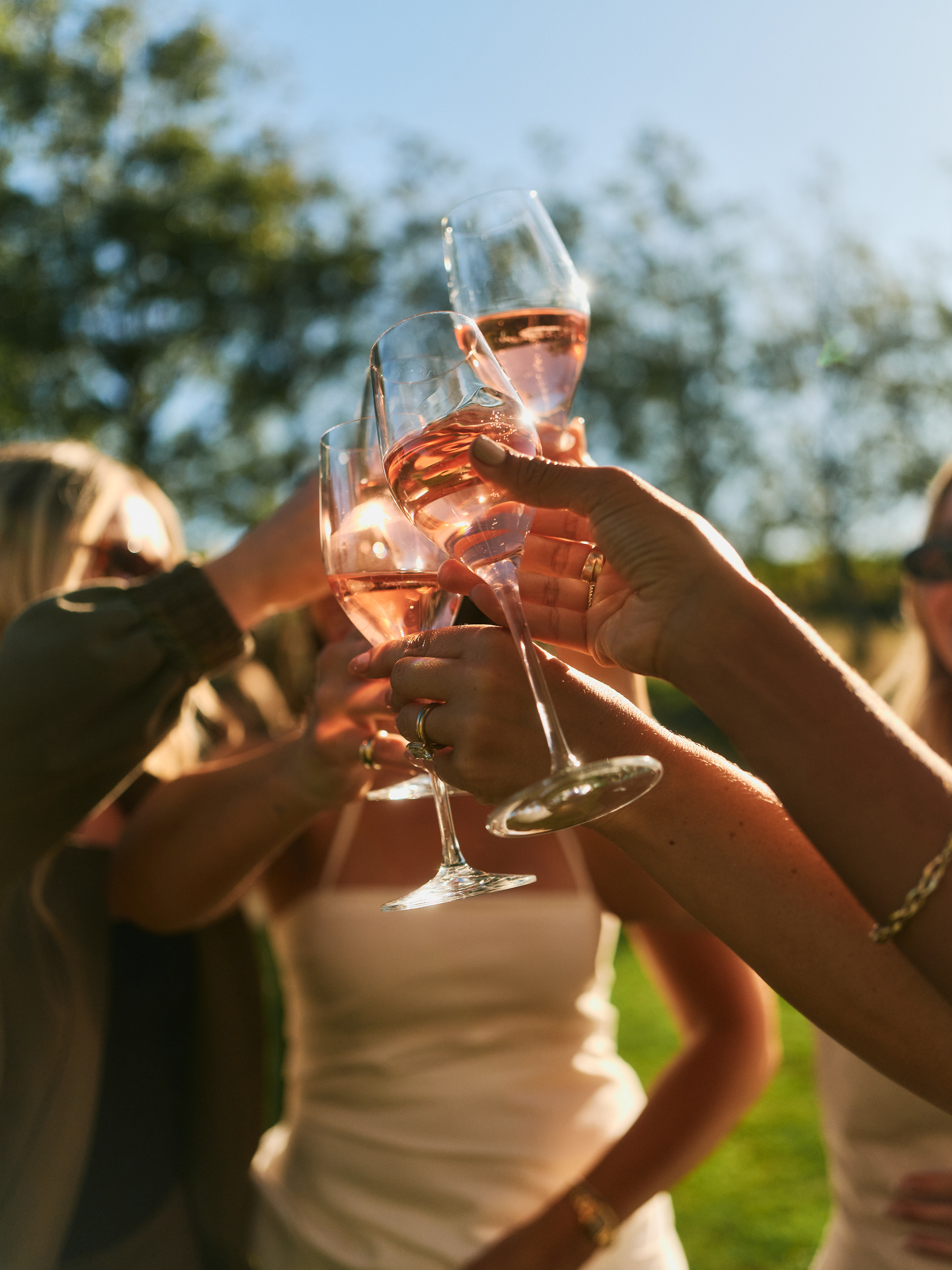 The Collective Force - Cloudy Bay Wonderscape 2025