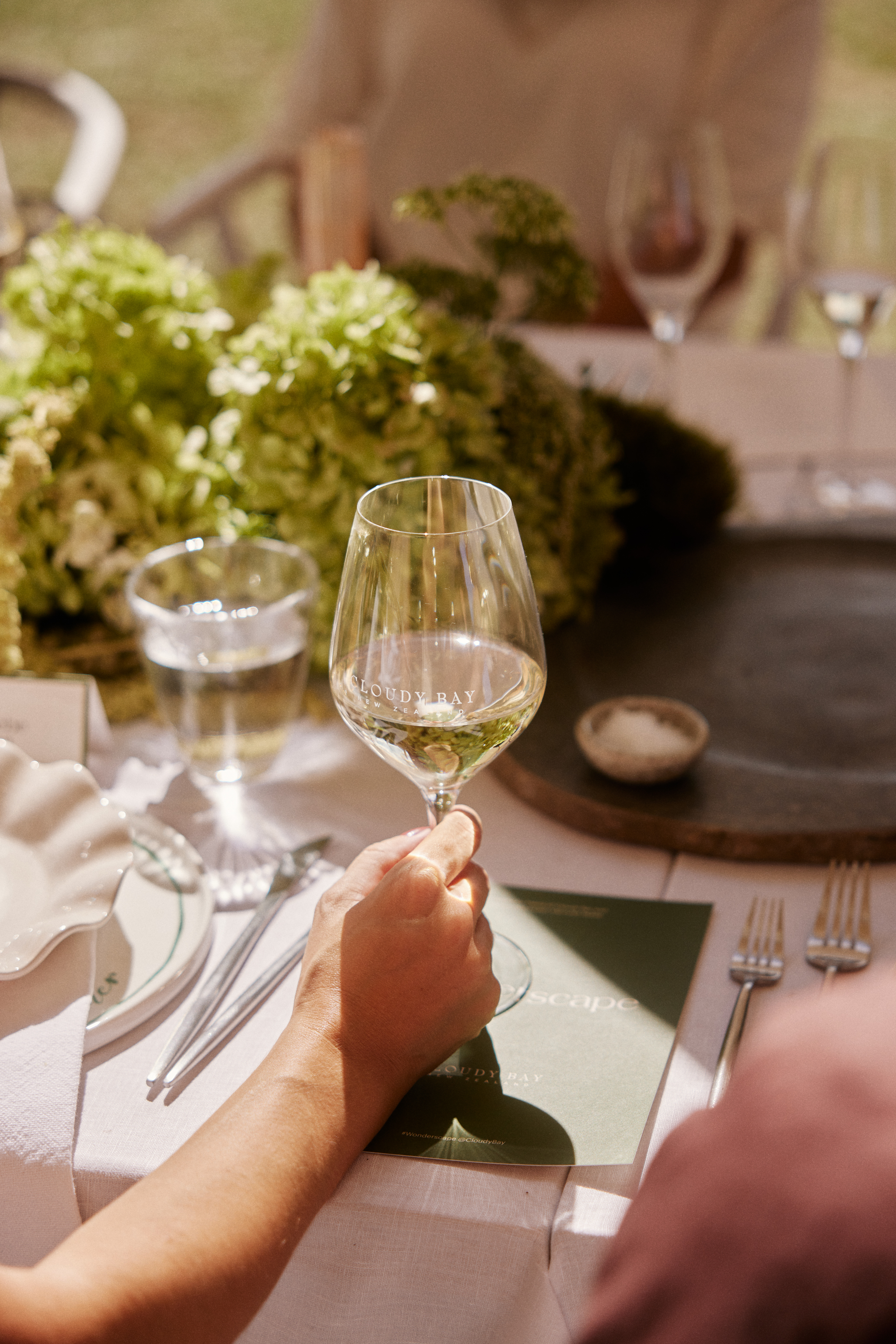 The Collective Force - Cloudy Bay | Wonderscape