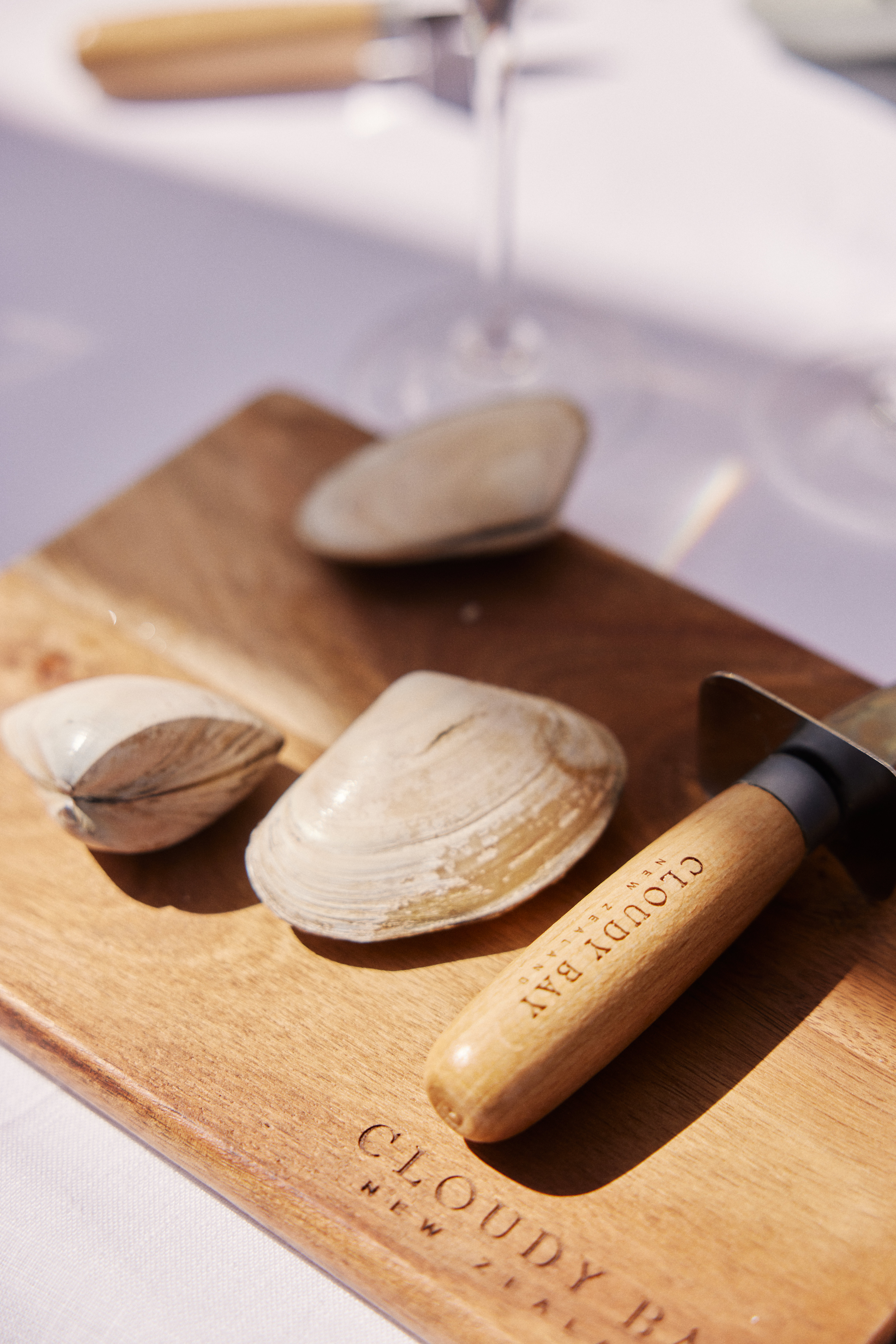 The Collective Force - Cloudy Bay | Wonderscape