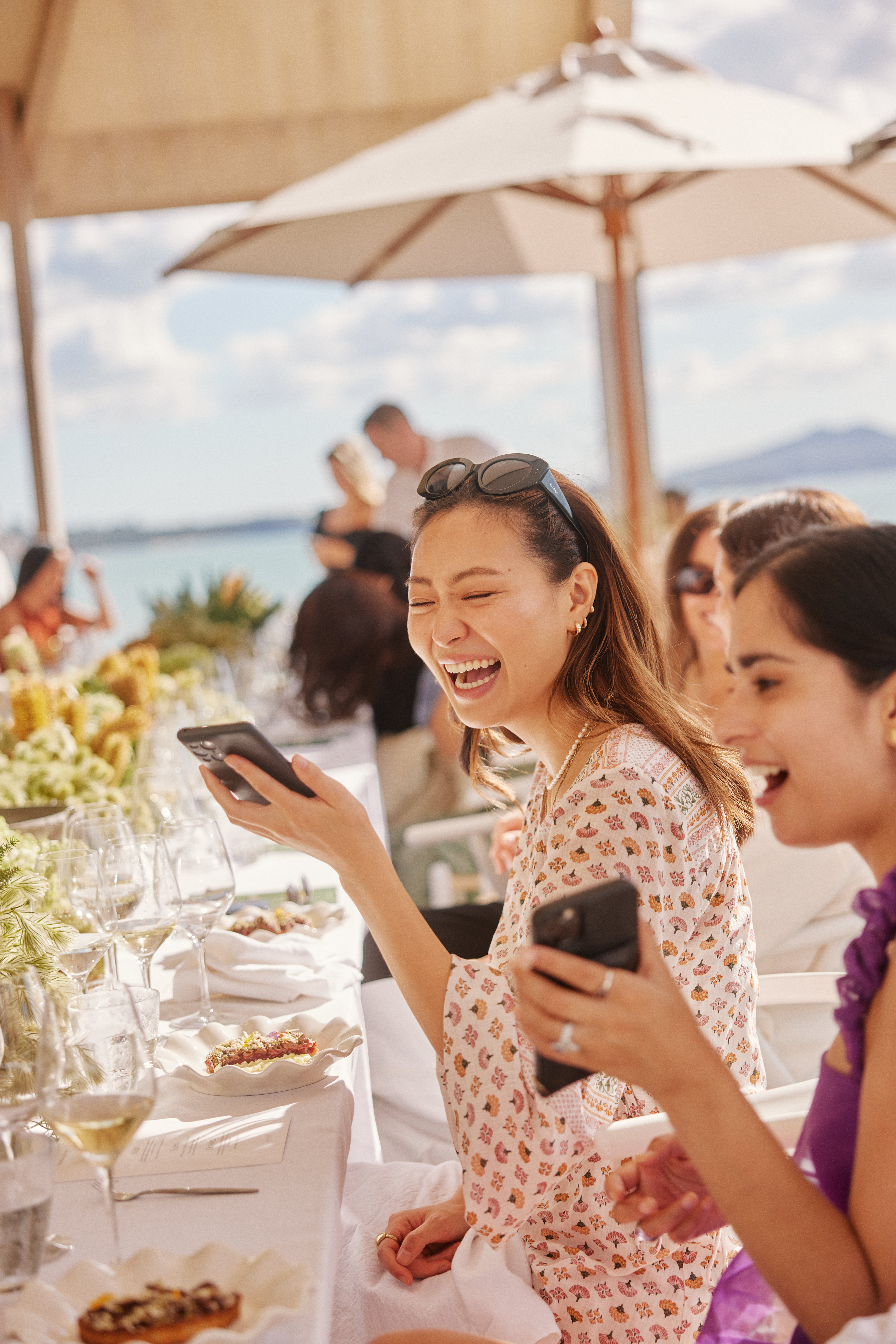 The Collective Force - Cloudy Bay | Wonderscape