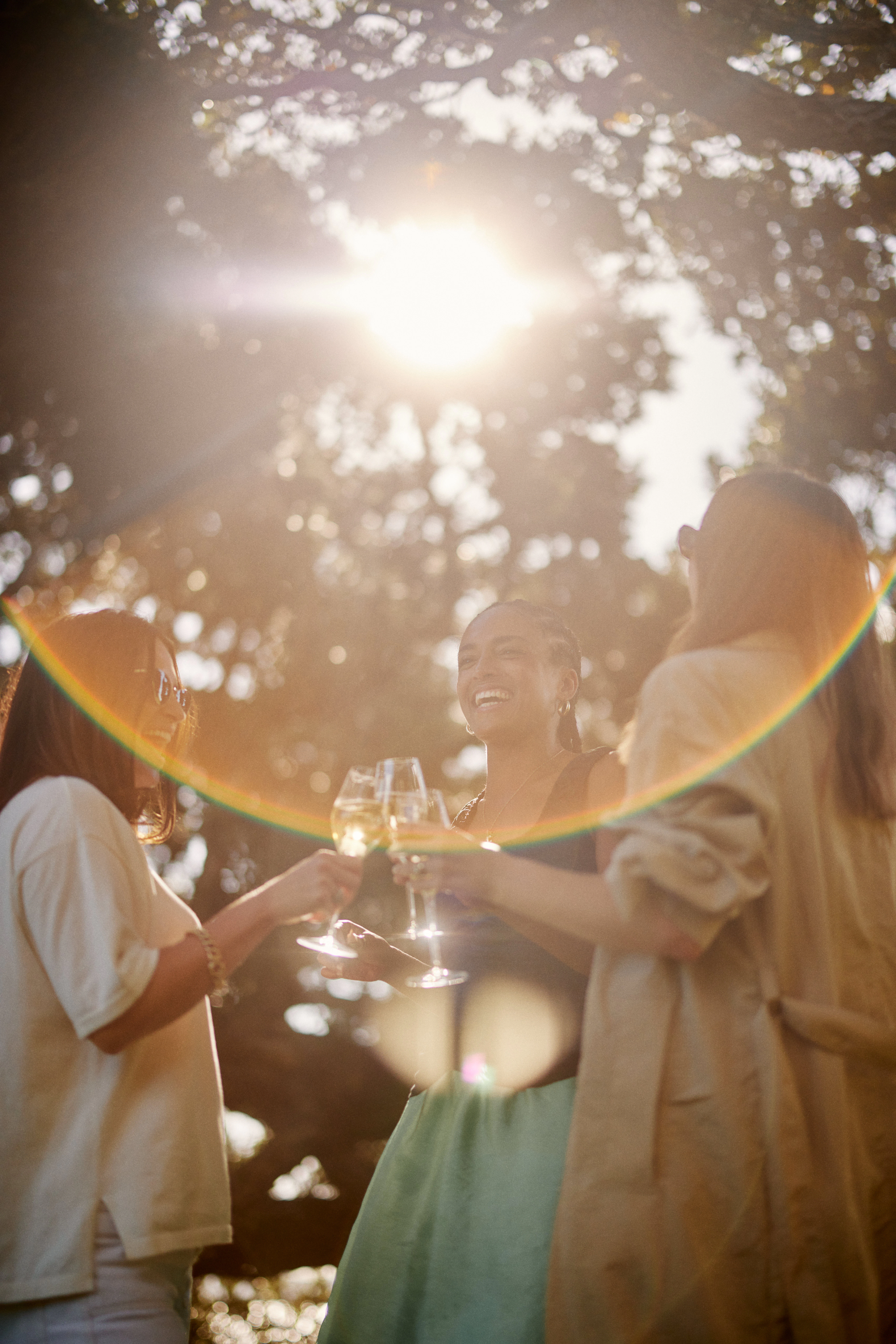 The Collective Force - Cloudy Bay | Wonderscape