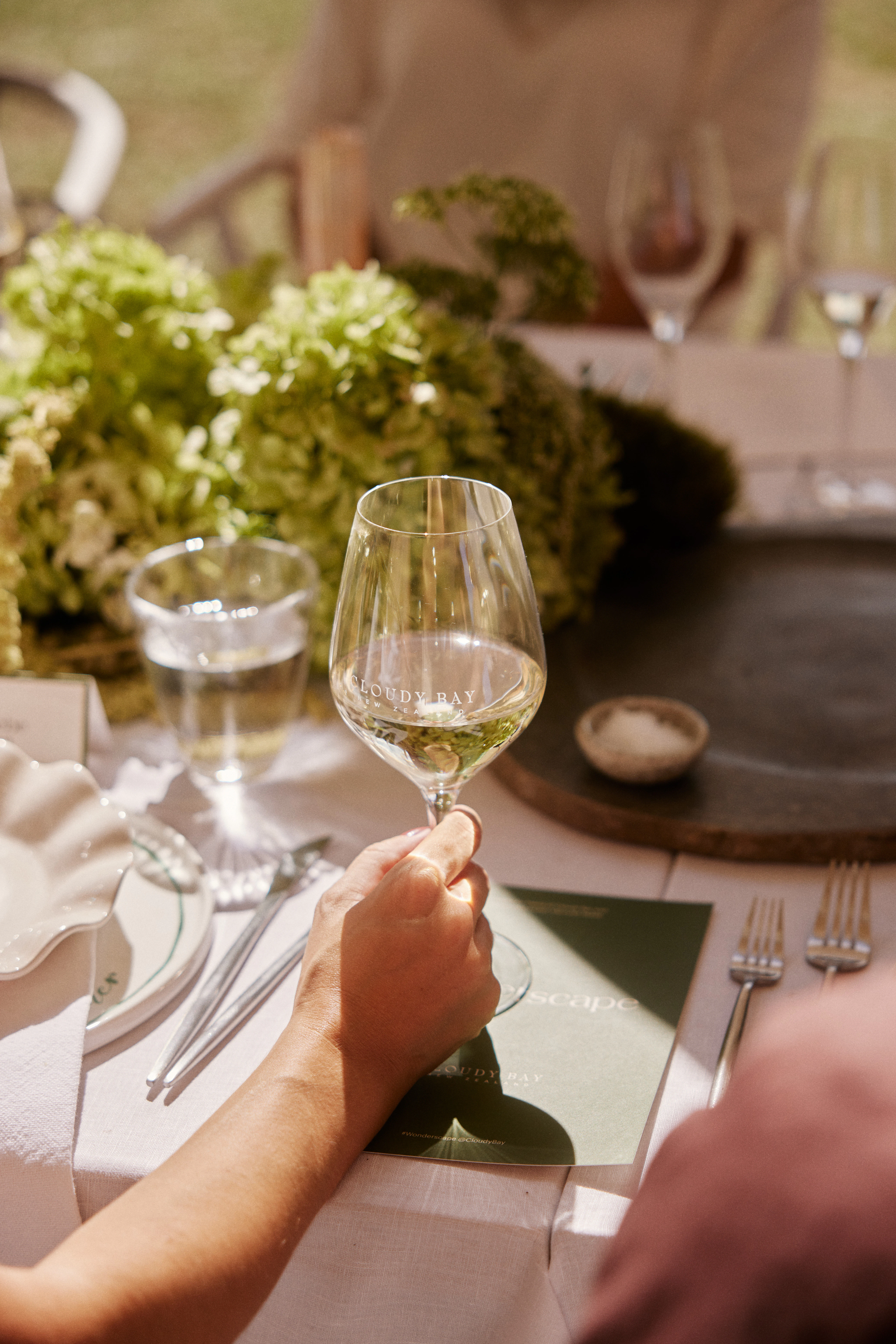 The Collective Force - Cloudy Bay | Wonderscape