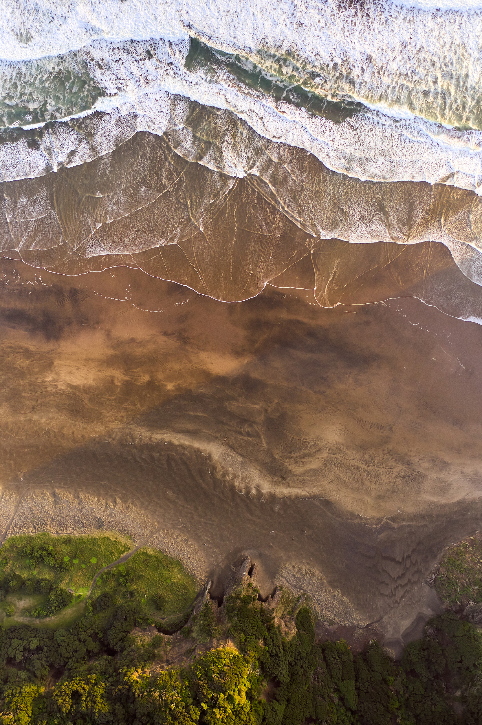 The Collective Force - Coffee Capsules 2 U