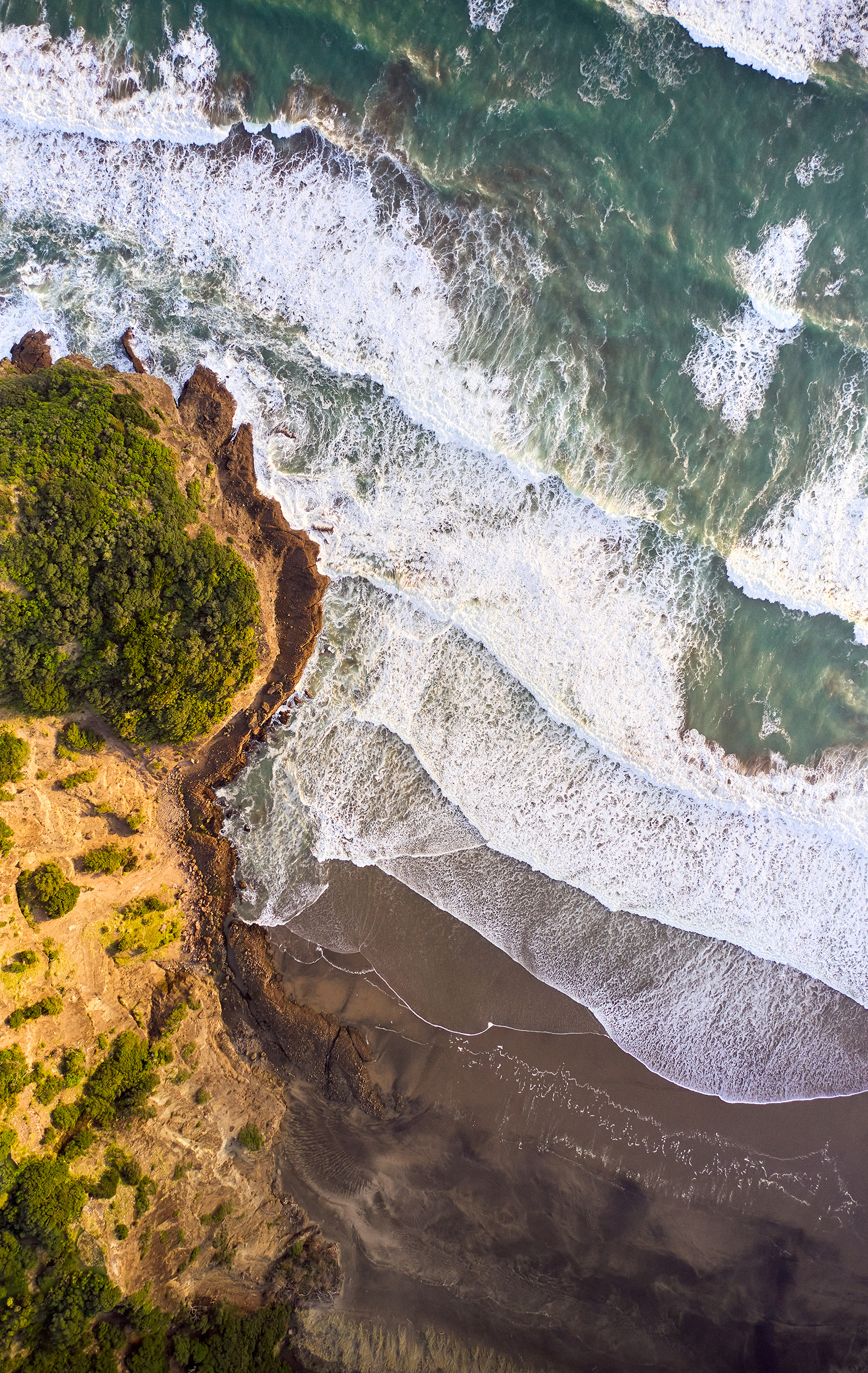 The Collective Force - Coffee Capsules 2 U