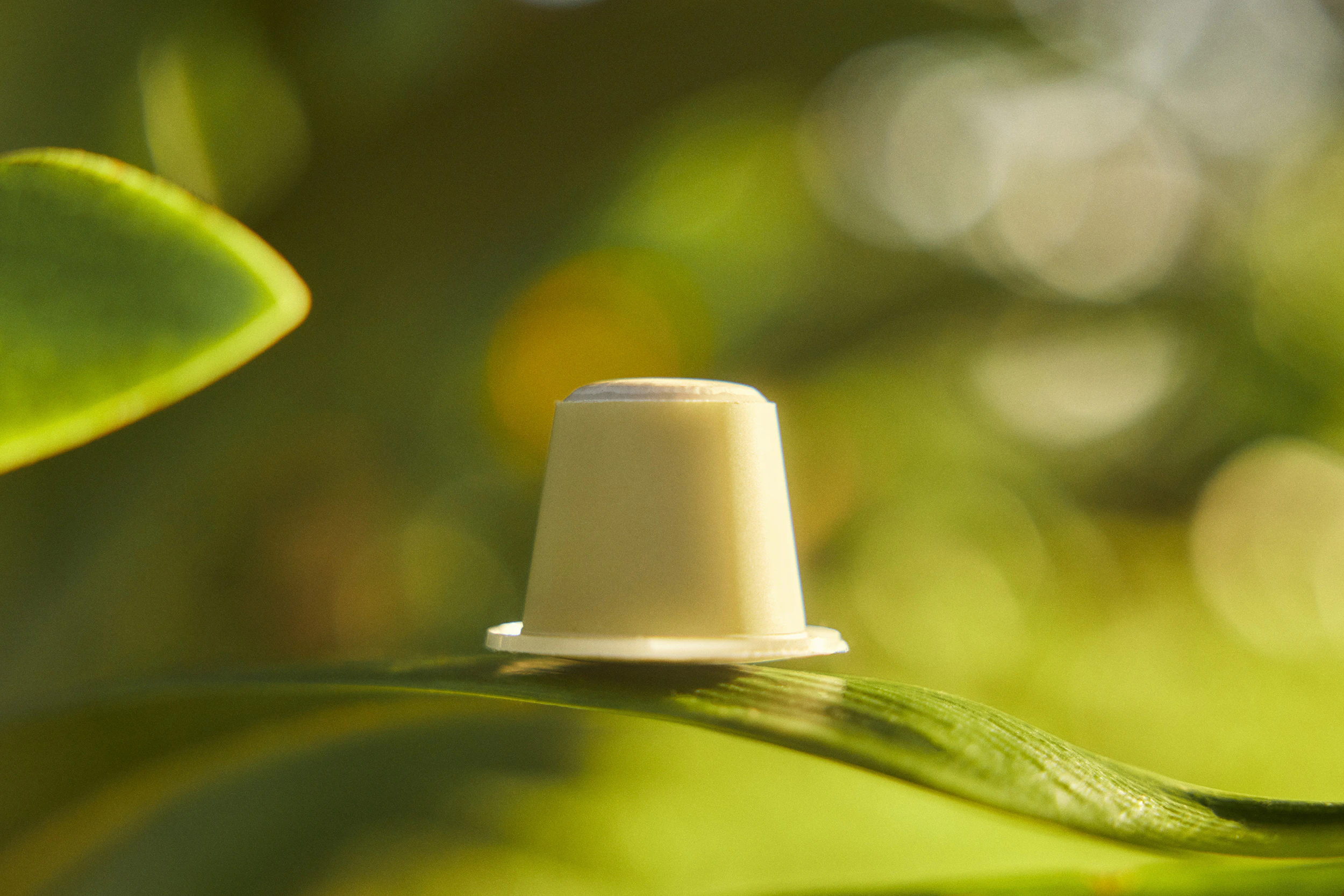 The Collective Force - Coffee Capsules 2 U