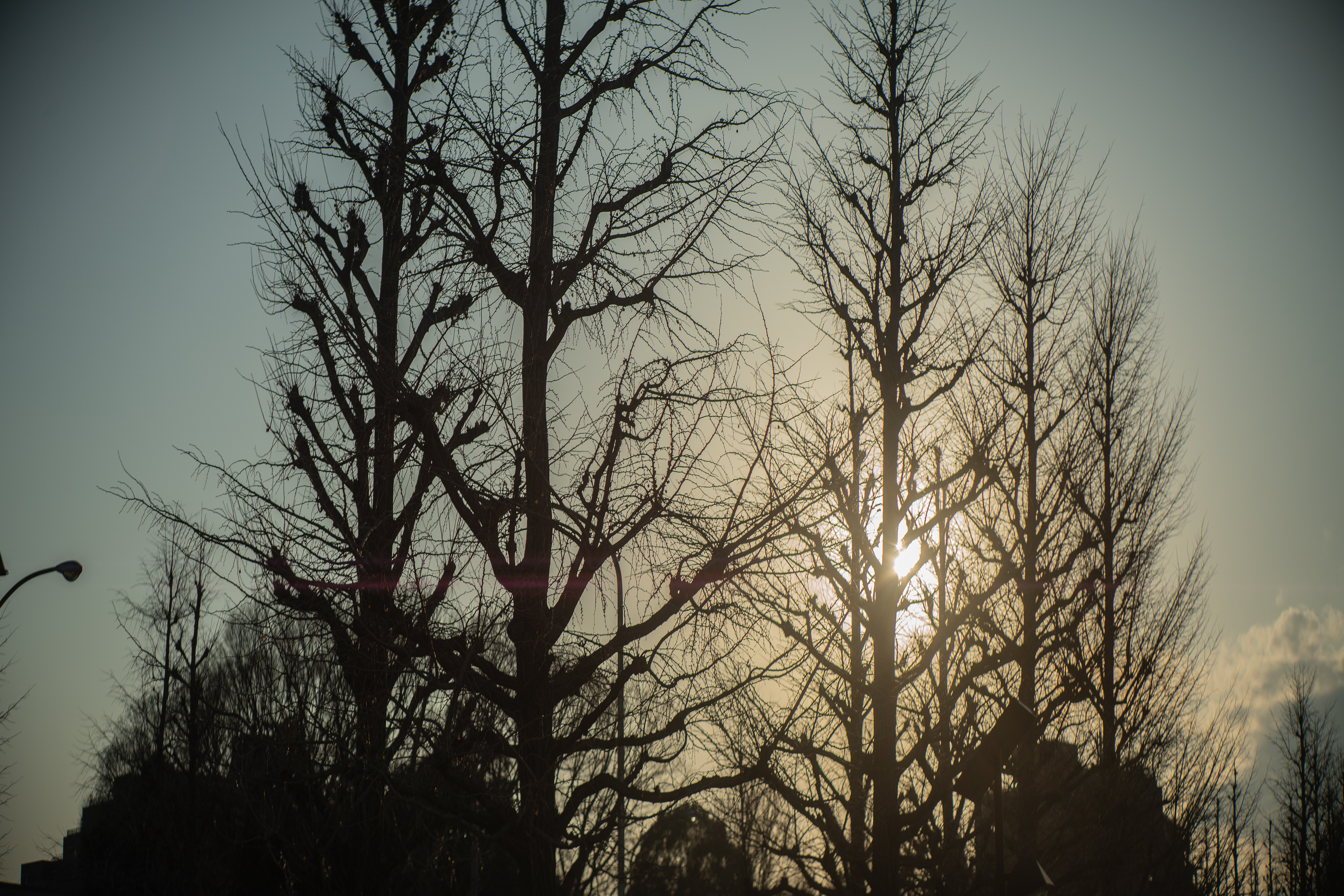 The Collective Force - Confessions Of A Mask