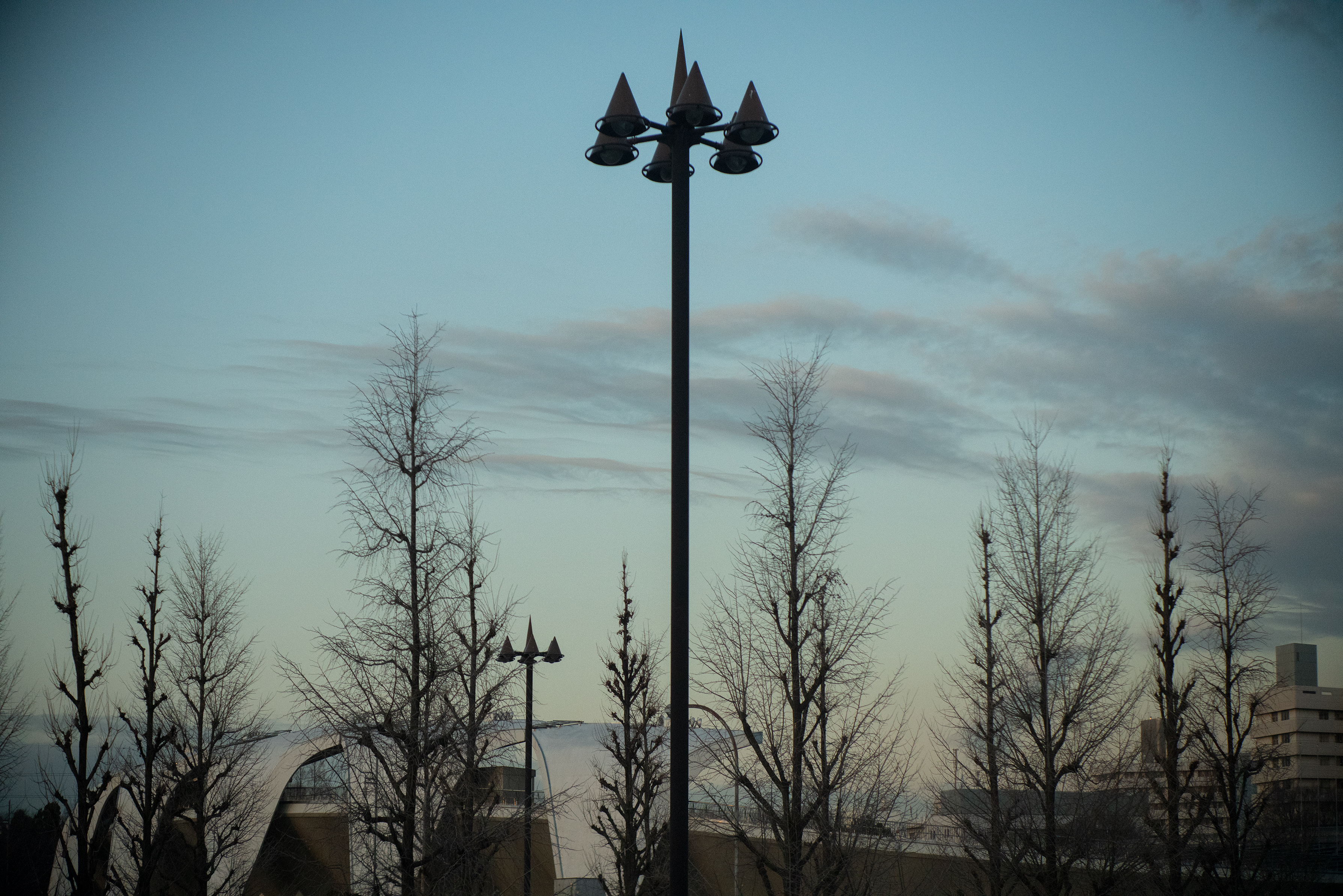 The Collective Force - Confessions Of A Mask