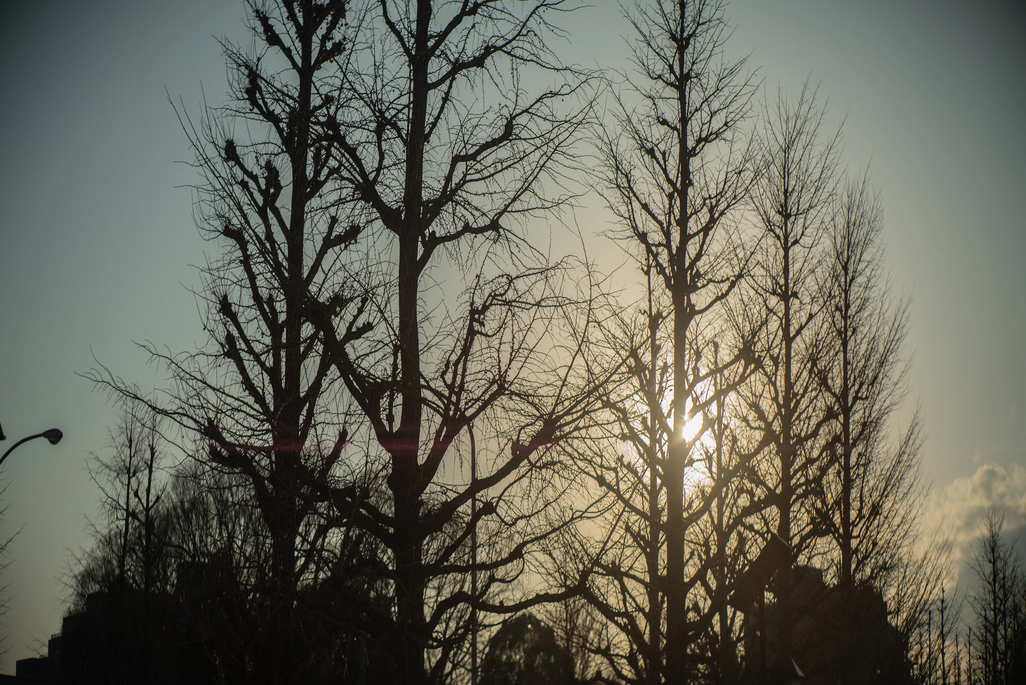 The Collective Force - Confessions Of A Mask