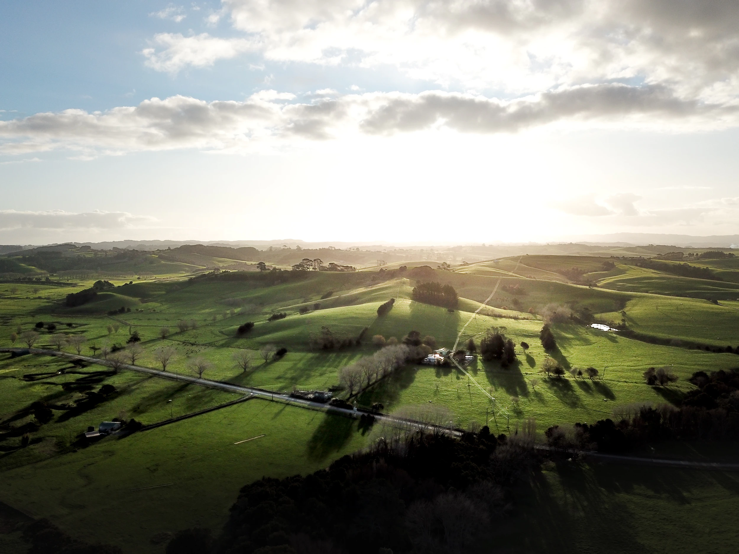 The Collective Force - Melissa Nickerson