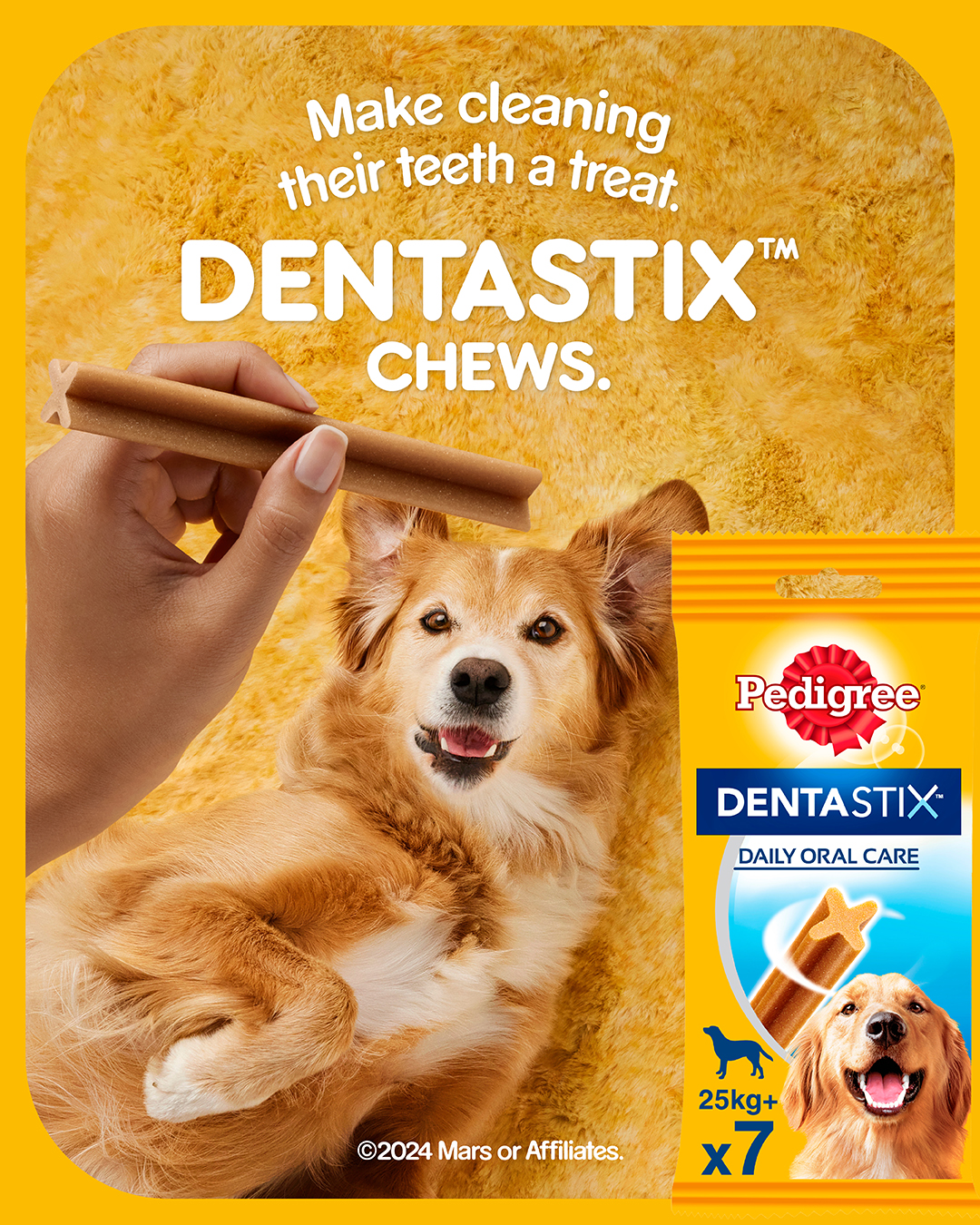 The Collective Force - Dentastix