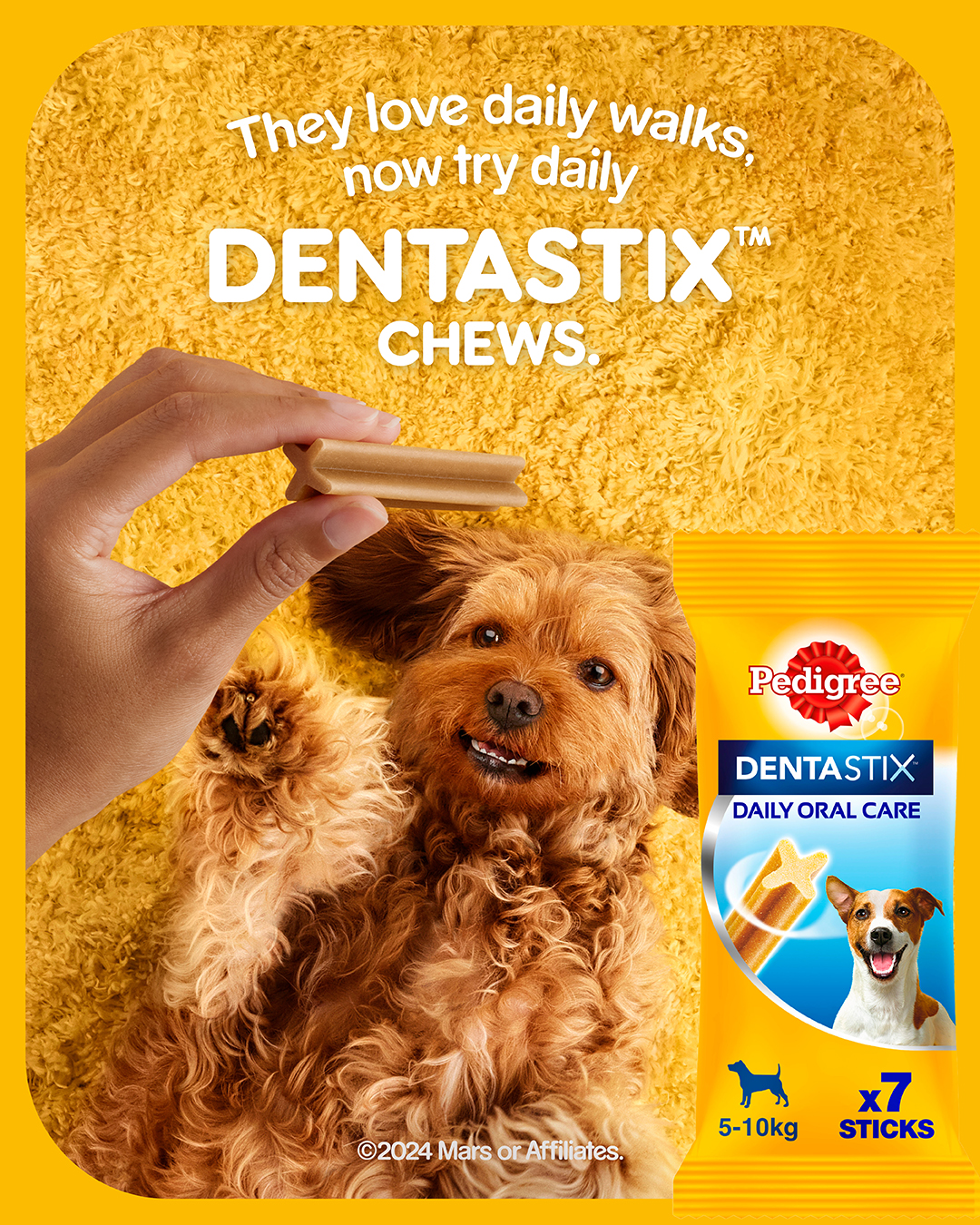 The Collective Force - Dentastix