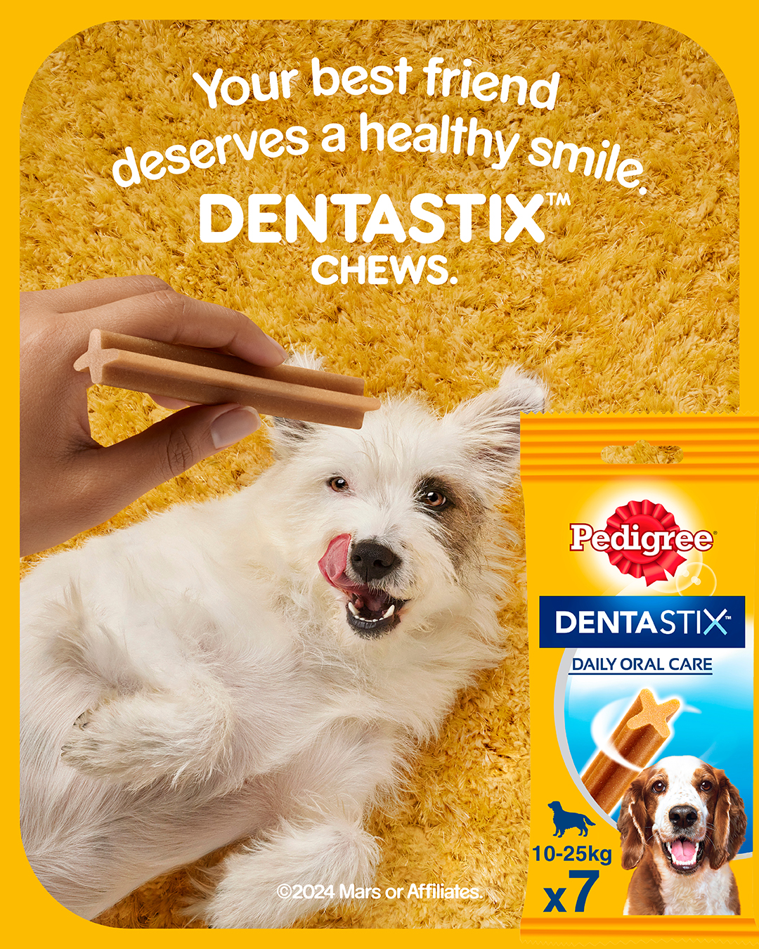 The Collective Force - Dentastix
