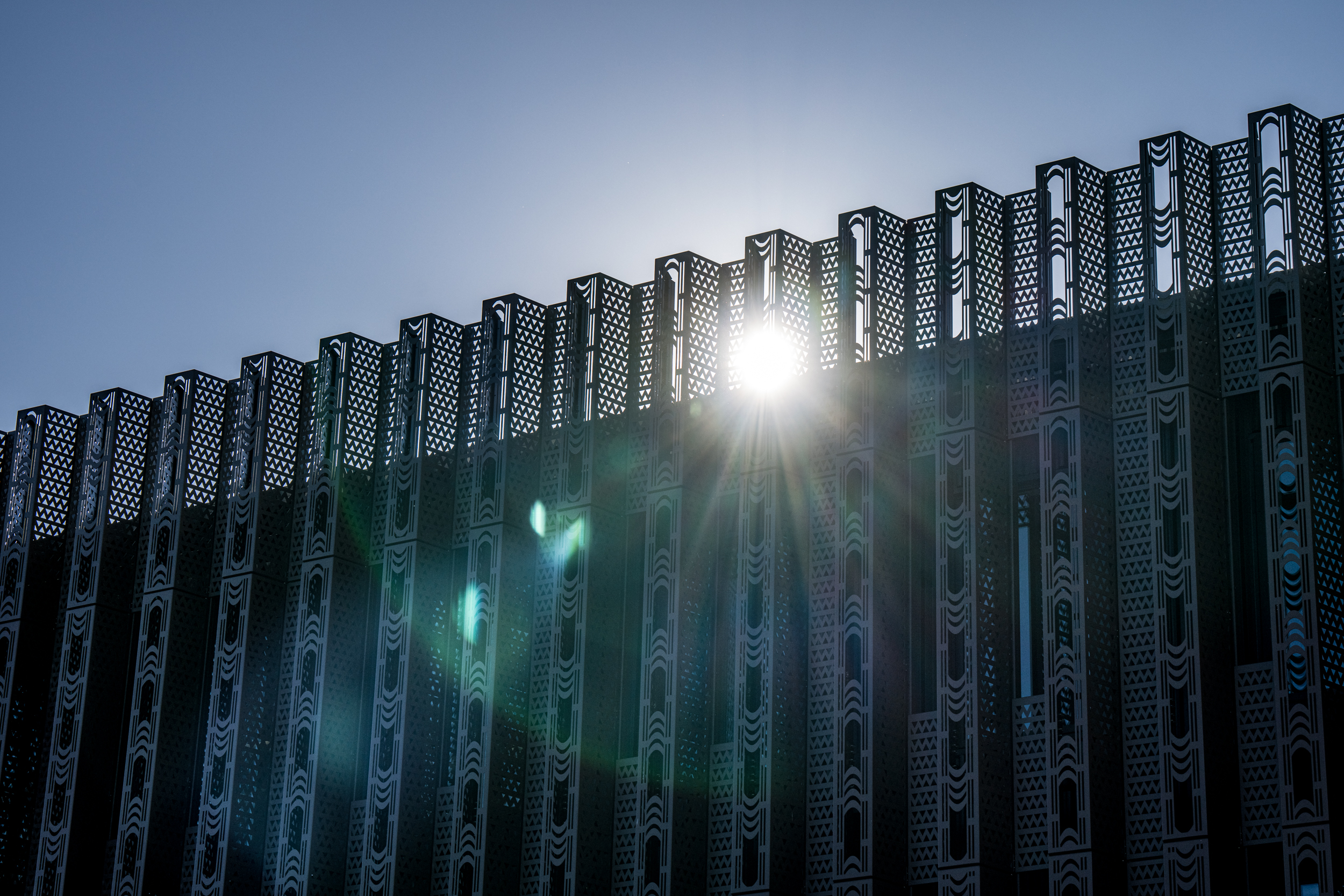 The Collective Force - Blackyak Kids FW24