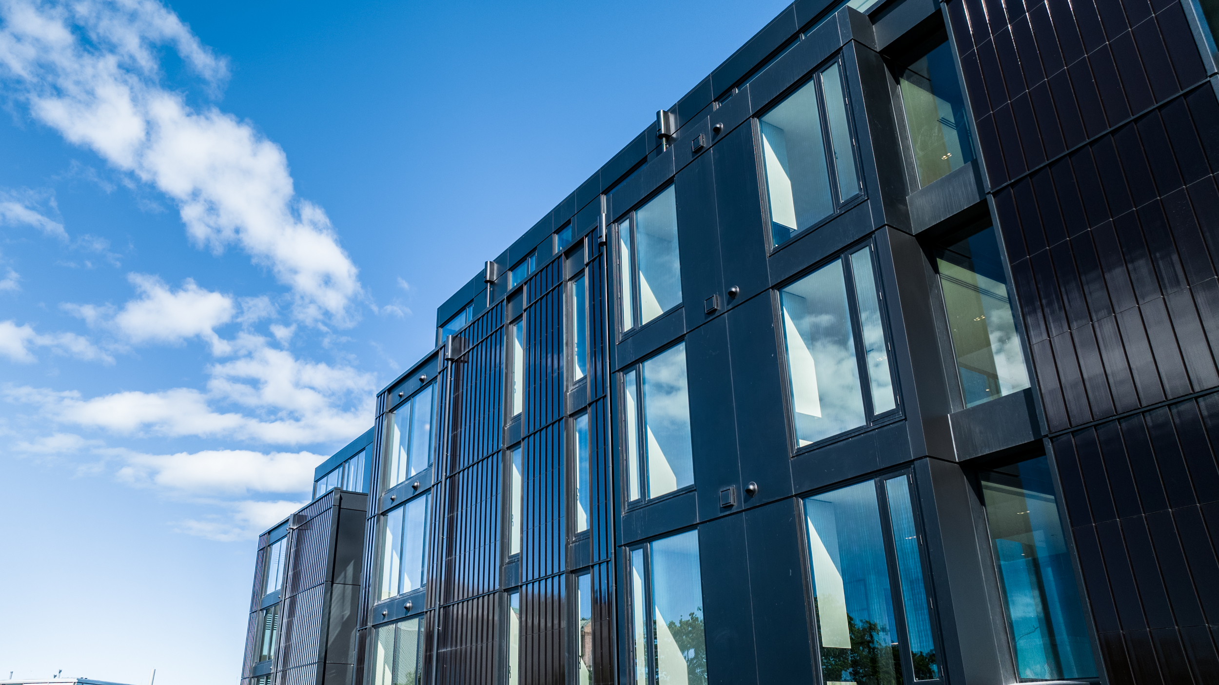 The Collective Force - DHC