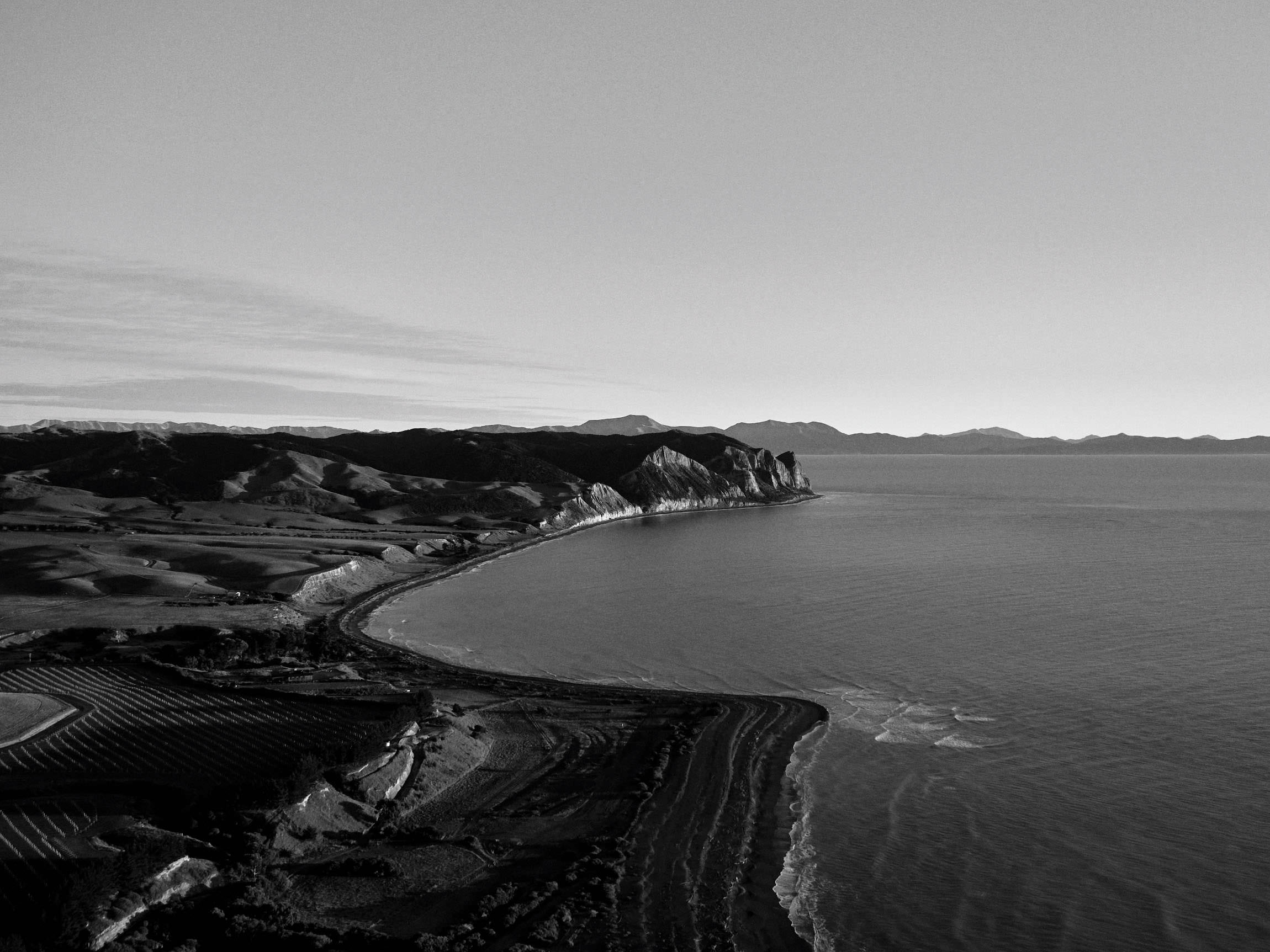 The Collective Force - Drylands Winery