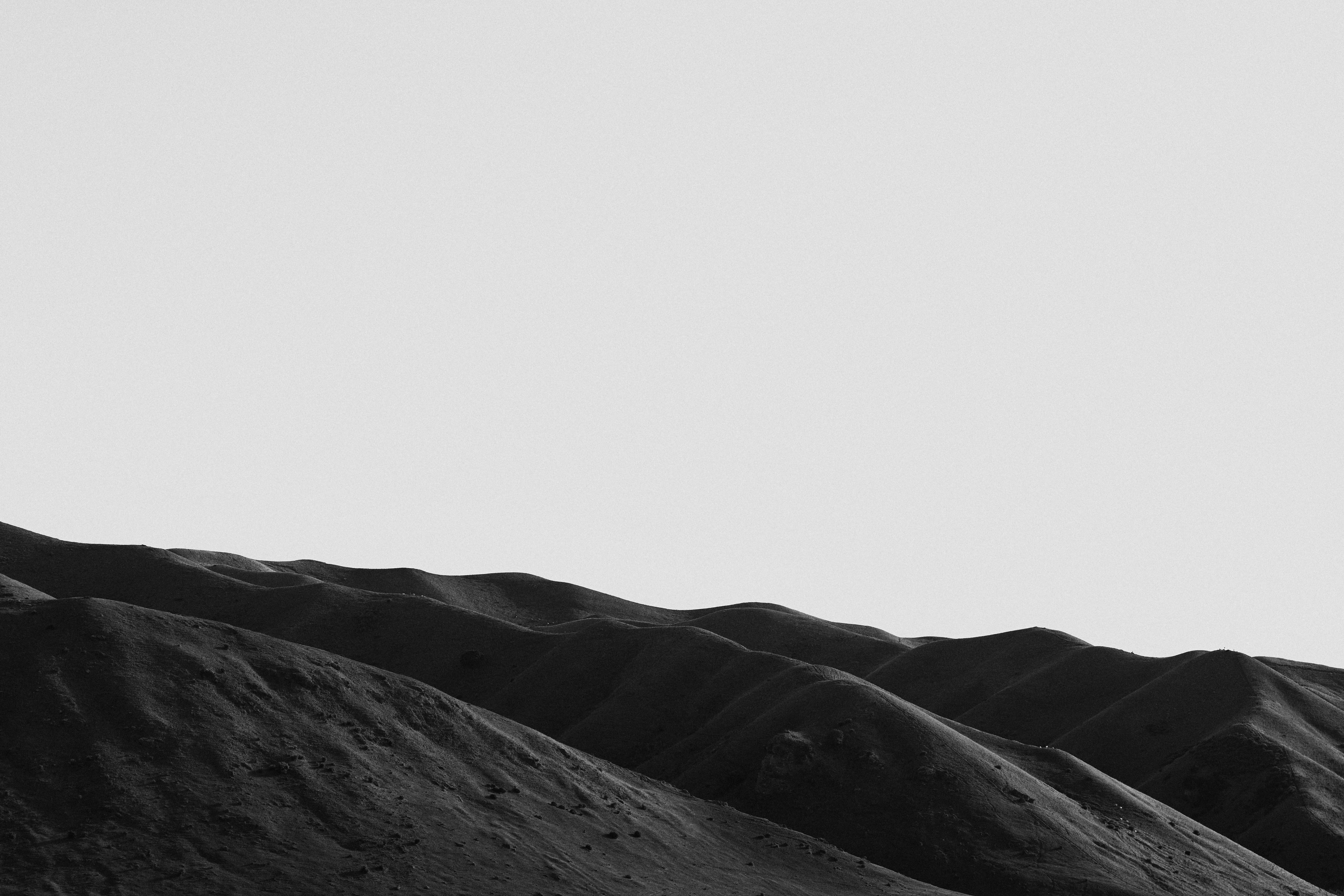 The Collective Force - Drylands Winery