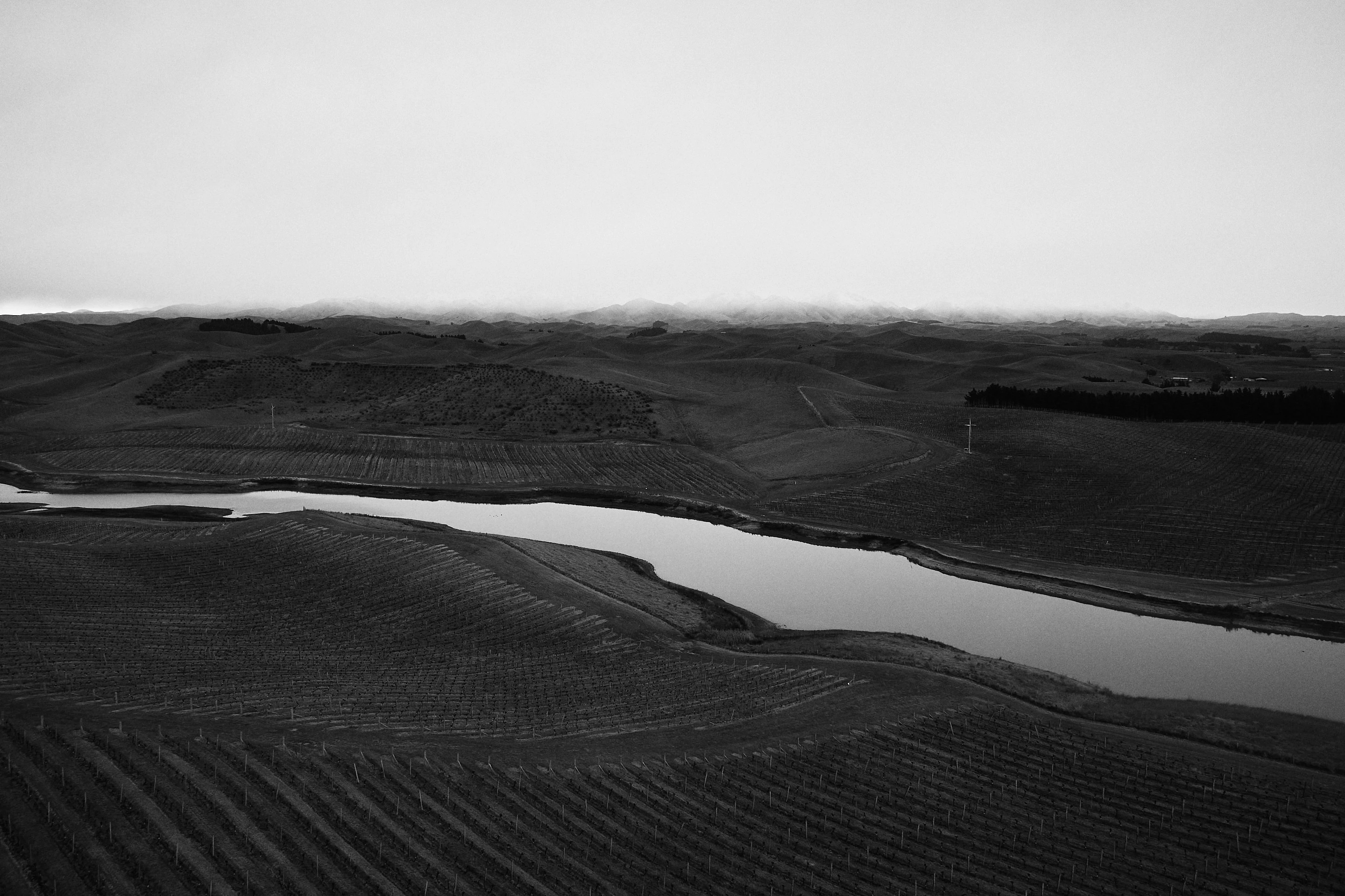 The Collective Force - Drylands Winery